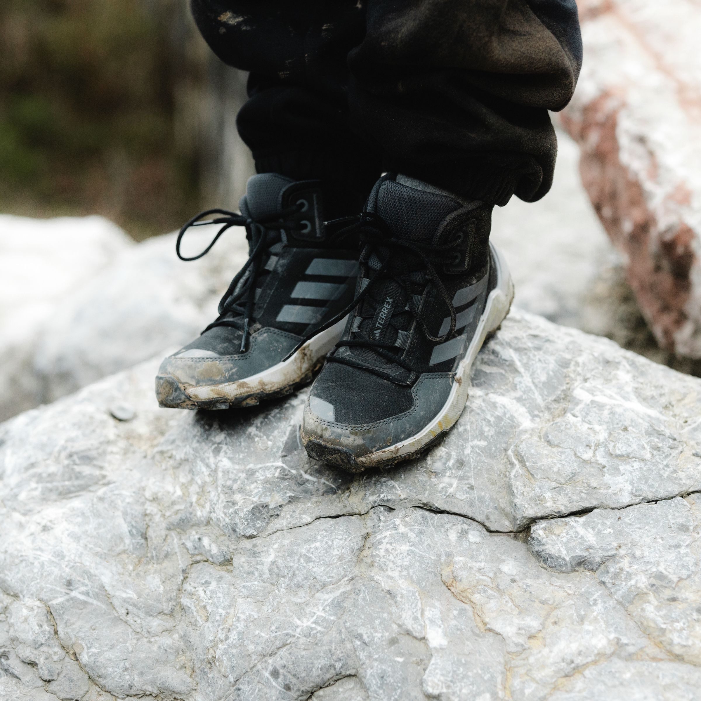 adidas TERREX Wandelschoenen TERREX AX4R MID