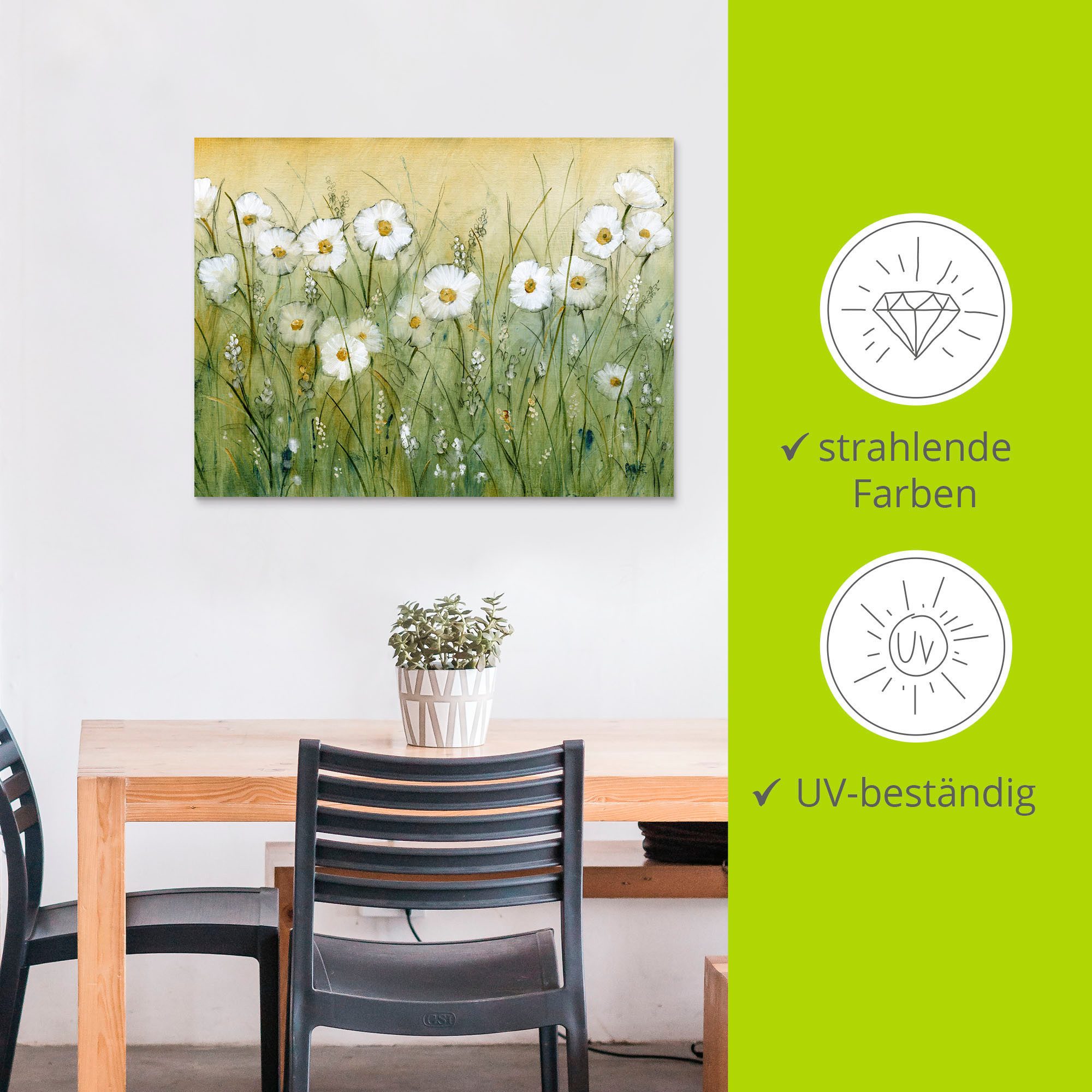 Artland Artprint Voorjaar met madeliefjes II als artprint van aluminium, artprint voor buiten, artprint op linnen, poster, muursticker