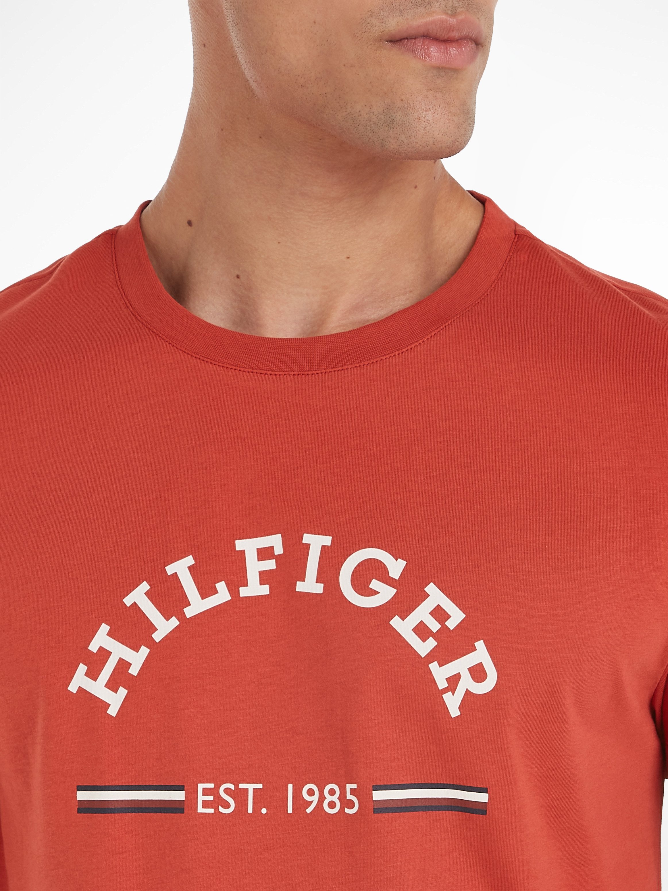 Tommy Hilfiger T-shirt RWB ARCH GS TEE
