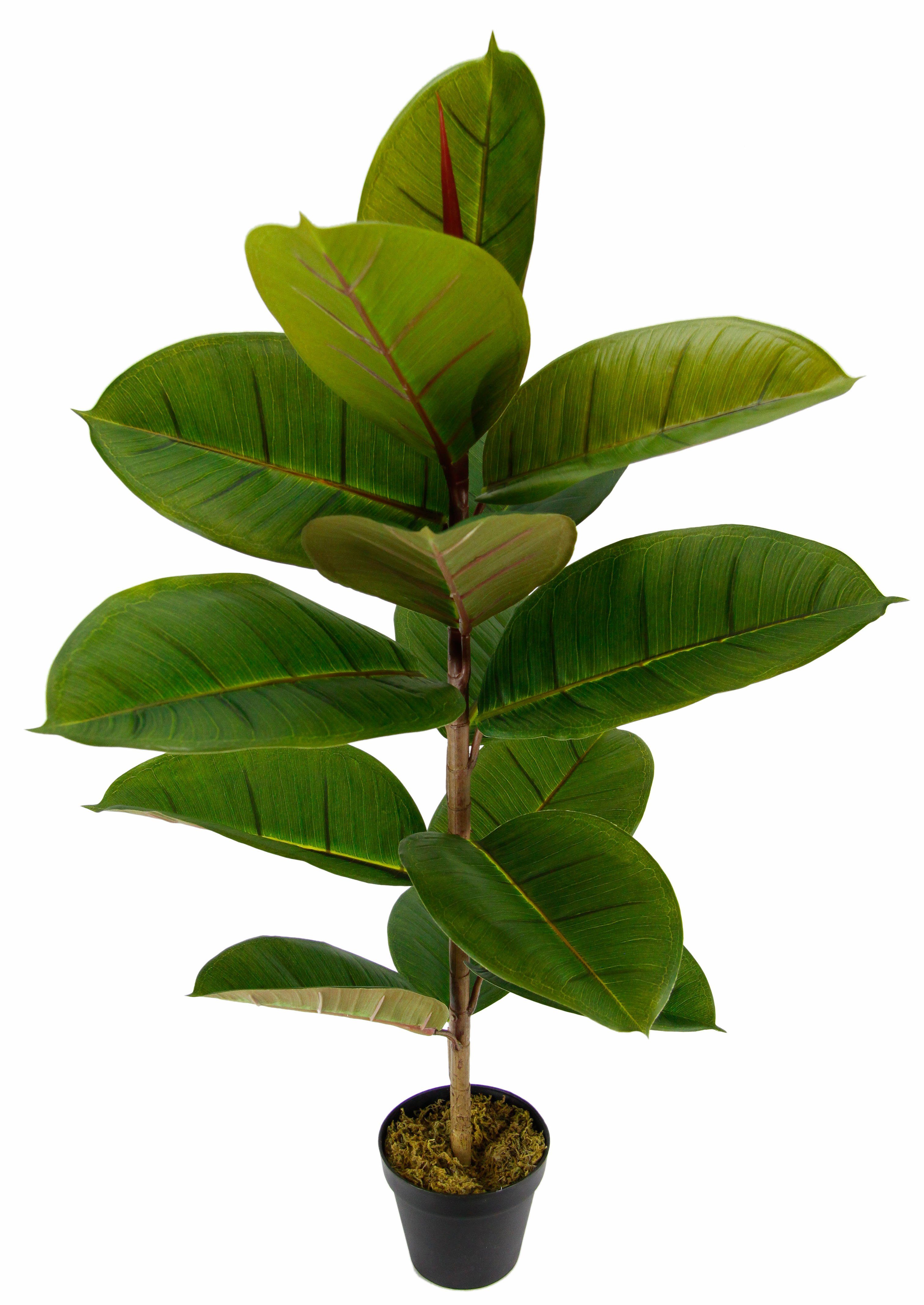 I.GE.A. Kunst-potplanten Rubberboom