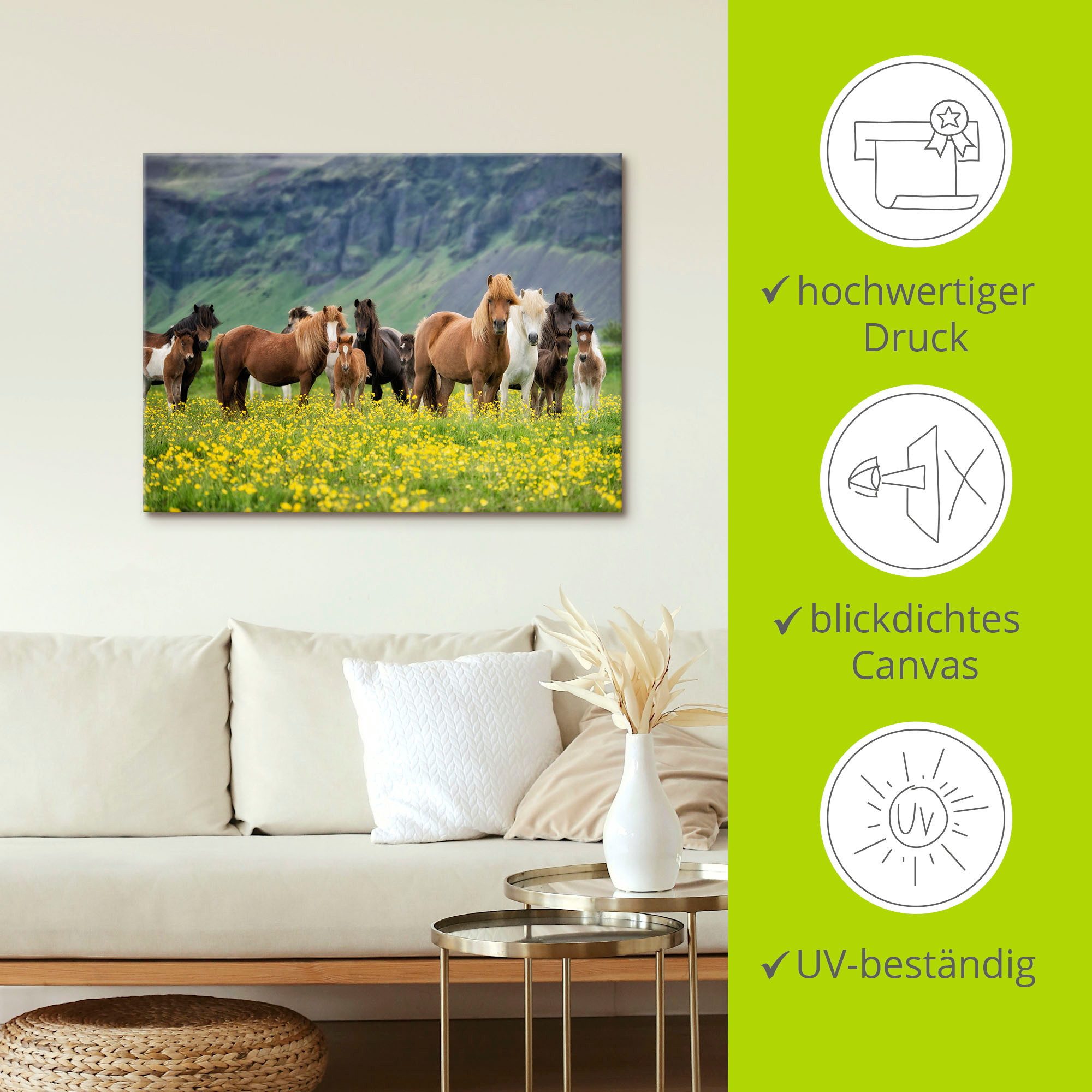 Artland Artprint IJslandse paarden VII als artprint op linnen, poster, muursticker in verschillende maten