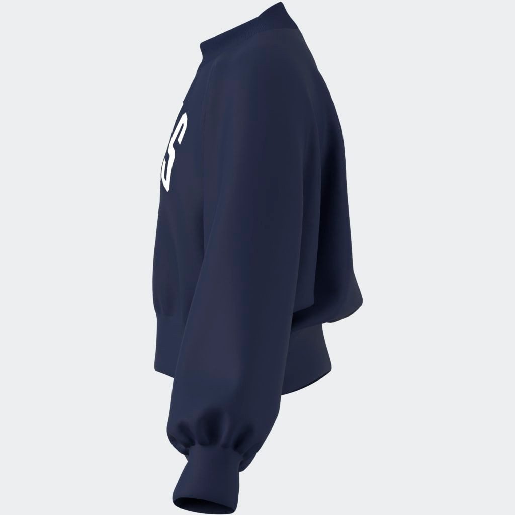 adidas Sportswear Sweatshirt JG CLGT FT SWT
