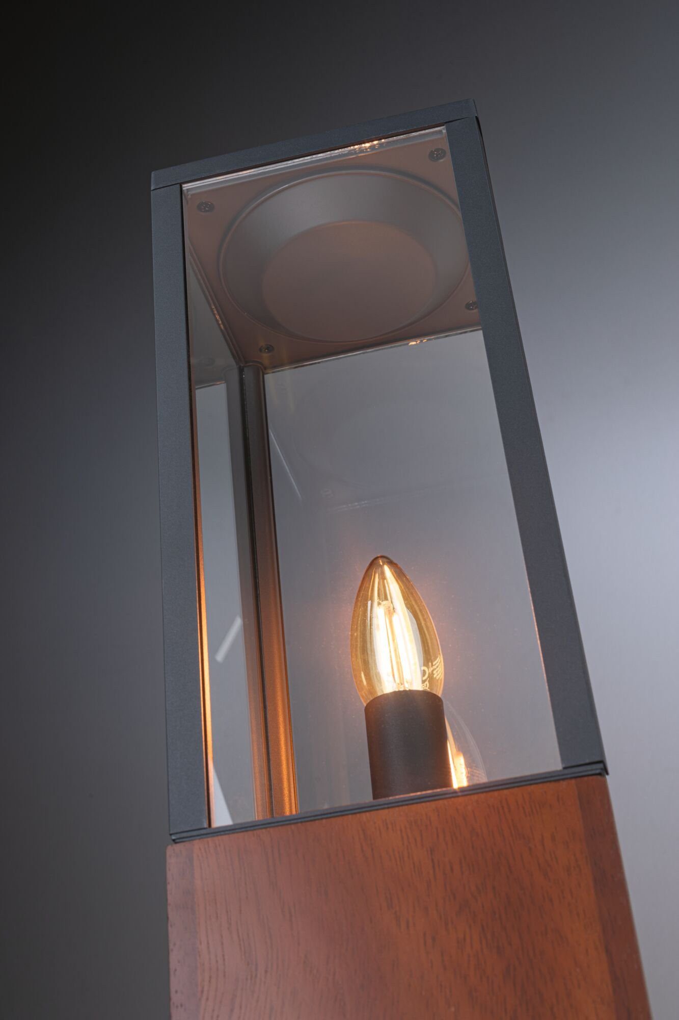 Paulmann Led-bolderlamp Plug & Shine Venea Enkel lamp IP44 1900K 2W Hout (1 stuk)