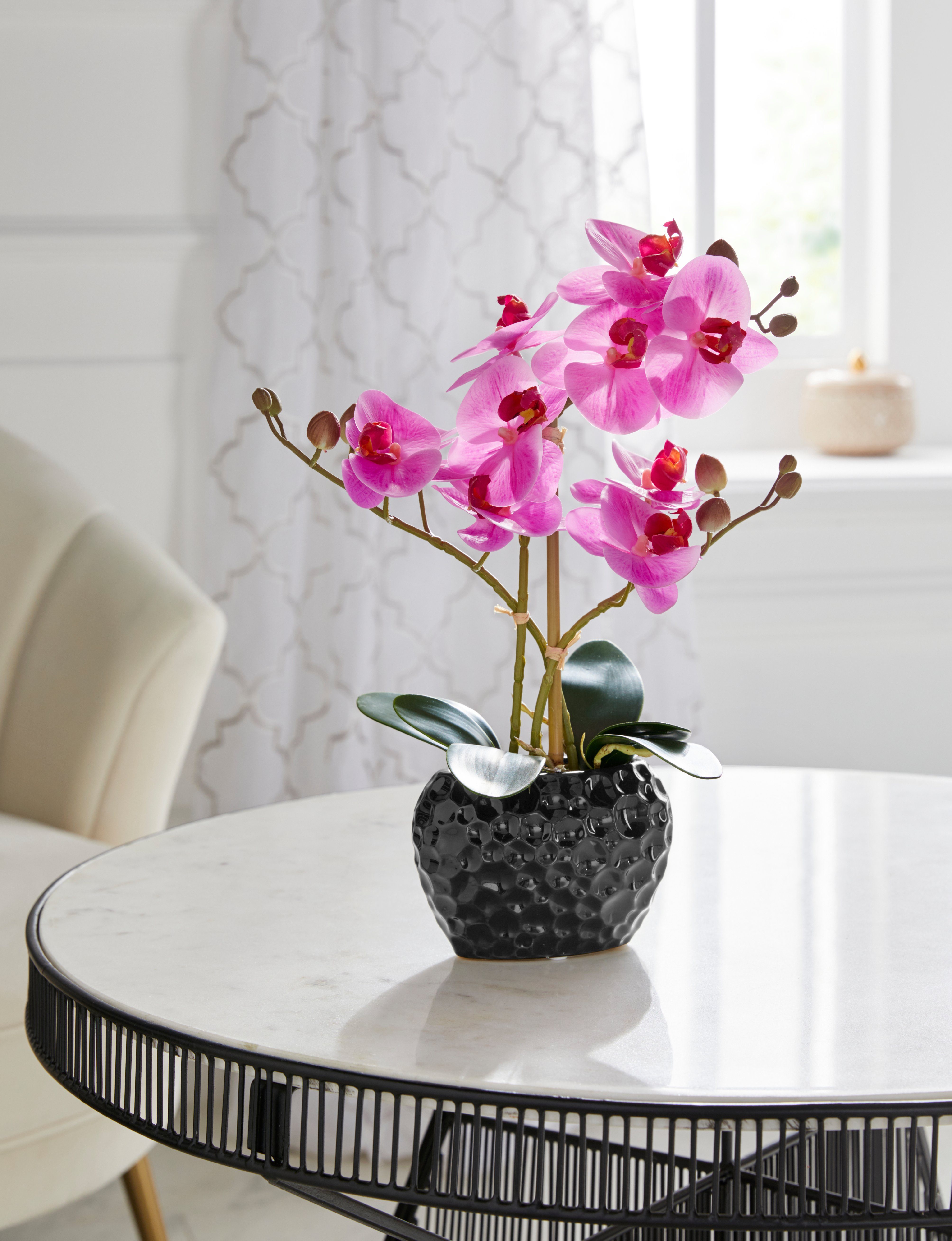 Leonique Kunstplant Orchidee Kunstorchidee, in pot, bestseller, meer dan 2500 4,5-sterren beoordelingen (1 stuk)