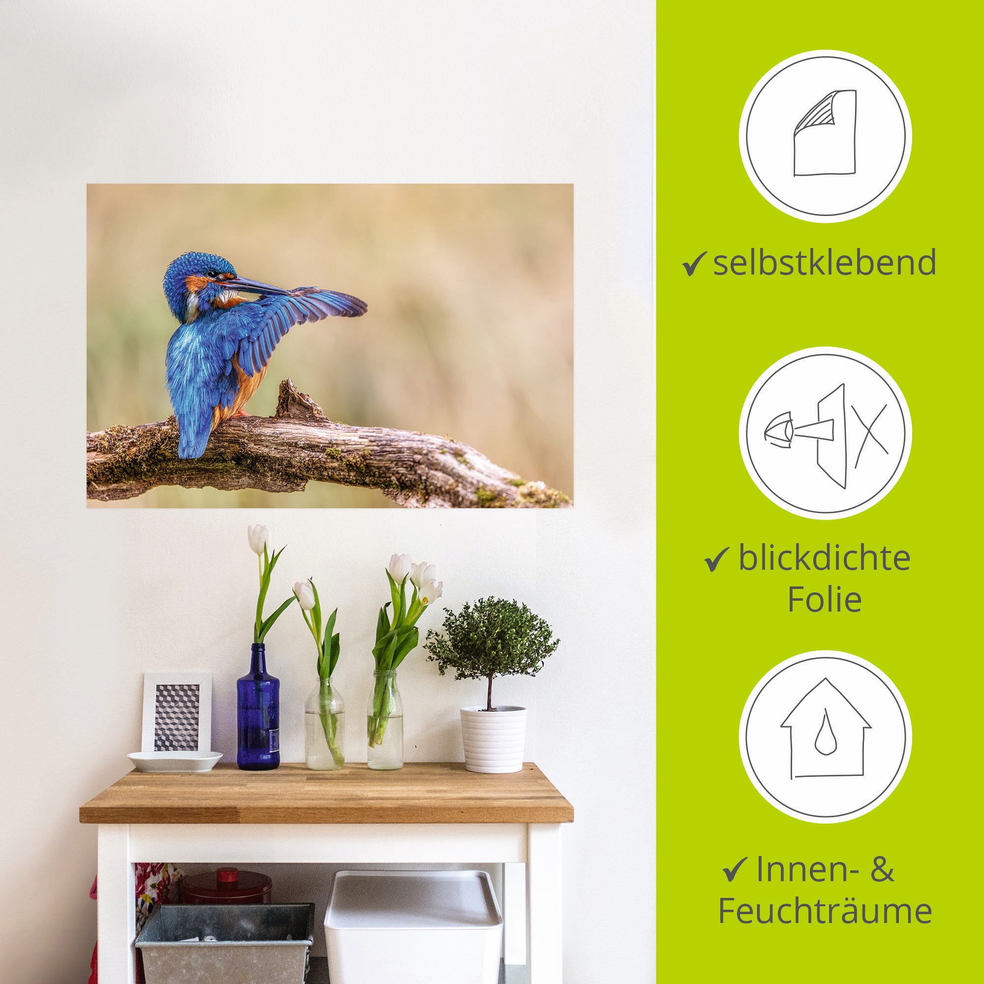 Artland Aluminium dibond print Ijsvogel II