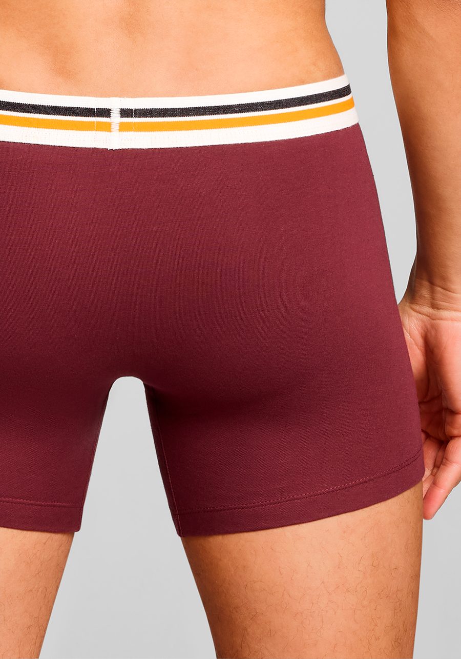 Levi's® Boxershort LEVIS MEN PL SPW LOGO BOXER BRIEF ORG 2P (Set van 2)