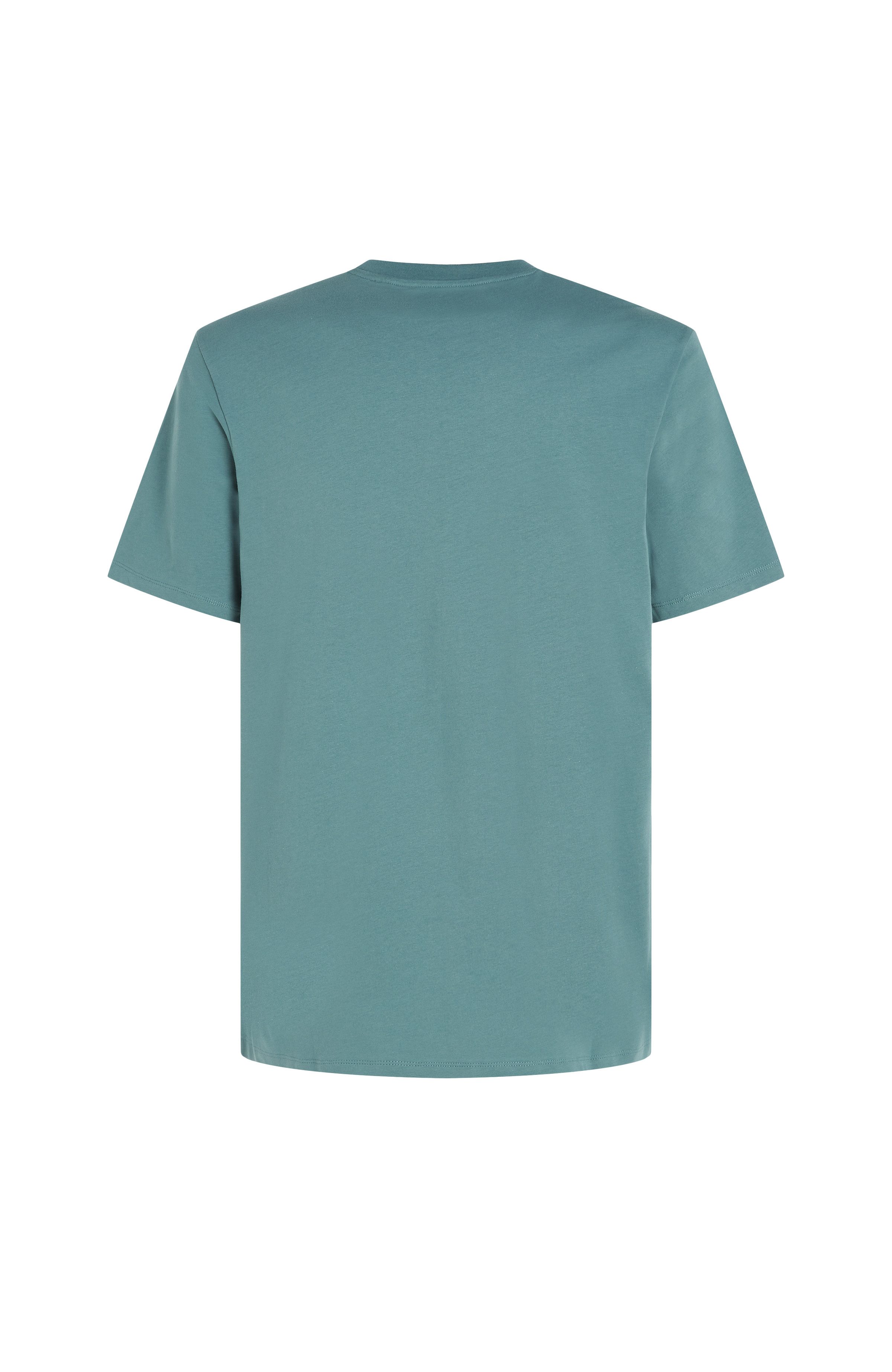 O'Neill T-shirt O'NEILL SMALL LOGO T-SHIRT