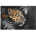 reinders! poster leopard jungle - eyecatcher - tiermotiv - modern (1 stuk) multicolor
