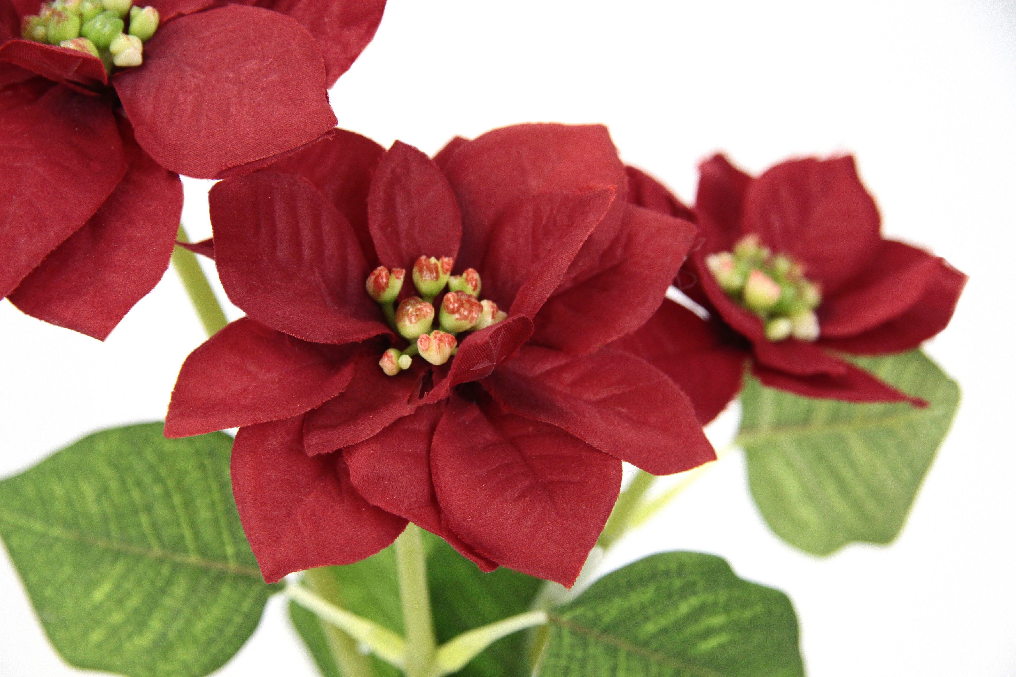 I.GE.A. Kunstbloem Kerstster Kunstmatige poinsettia tak, 5-delige set (5 stuks)