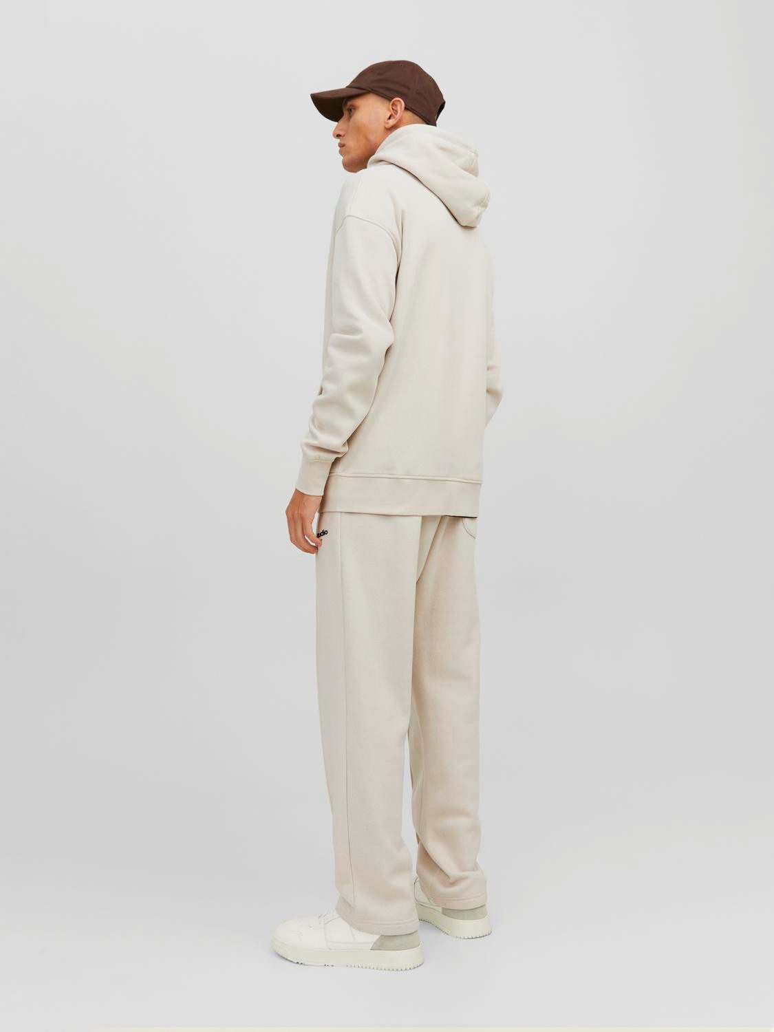 Jack & Jones Sweatshirt JORVESTERBRO SWEAT ZIP HOOD NOOS