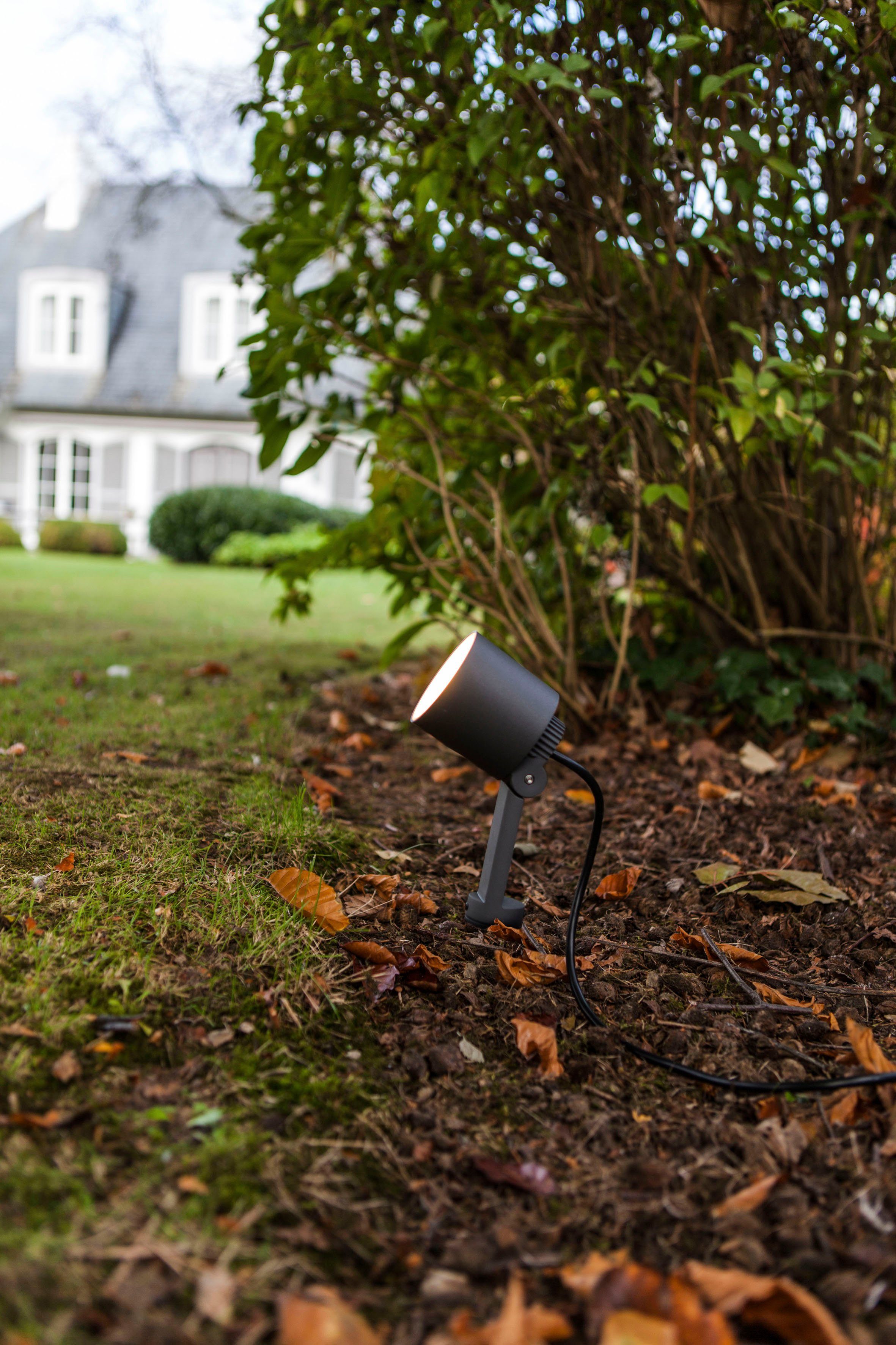 LUTEC Ledwandlamp voor buiten Explorer (1 stuk)