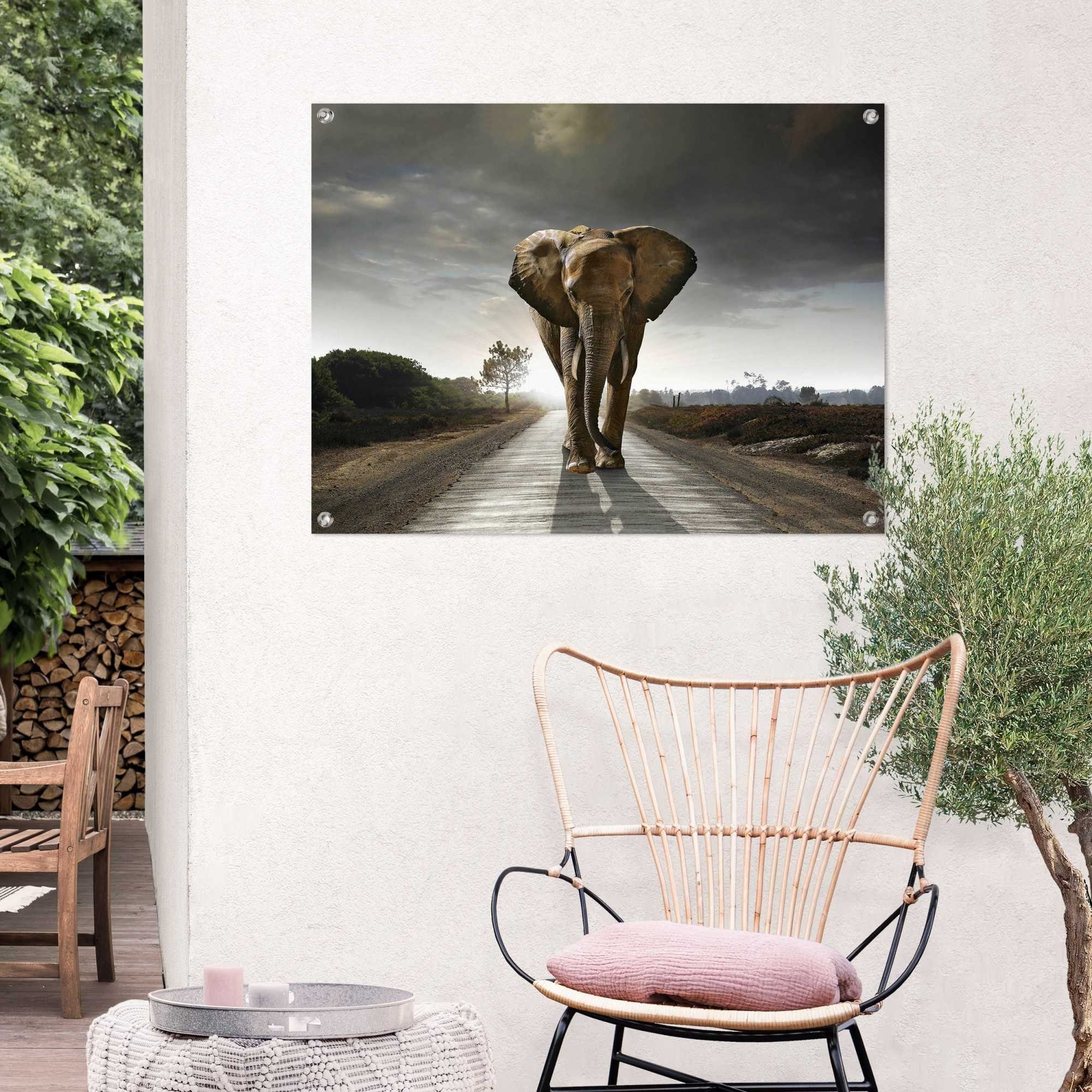 Reinders! Poster Olifantenkoning Outdoor voor tuin of balkon