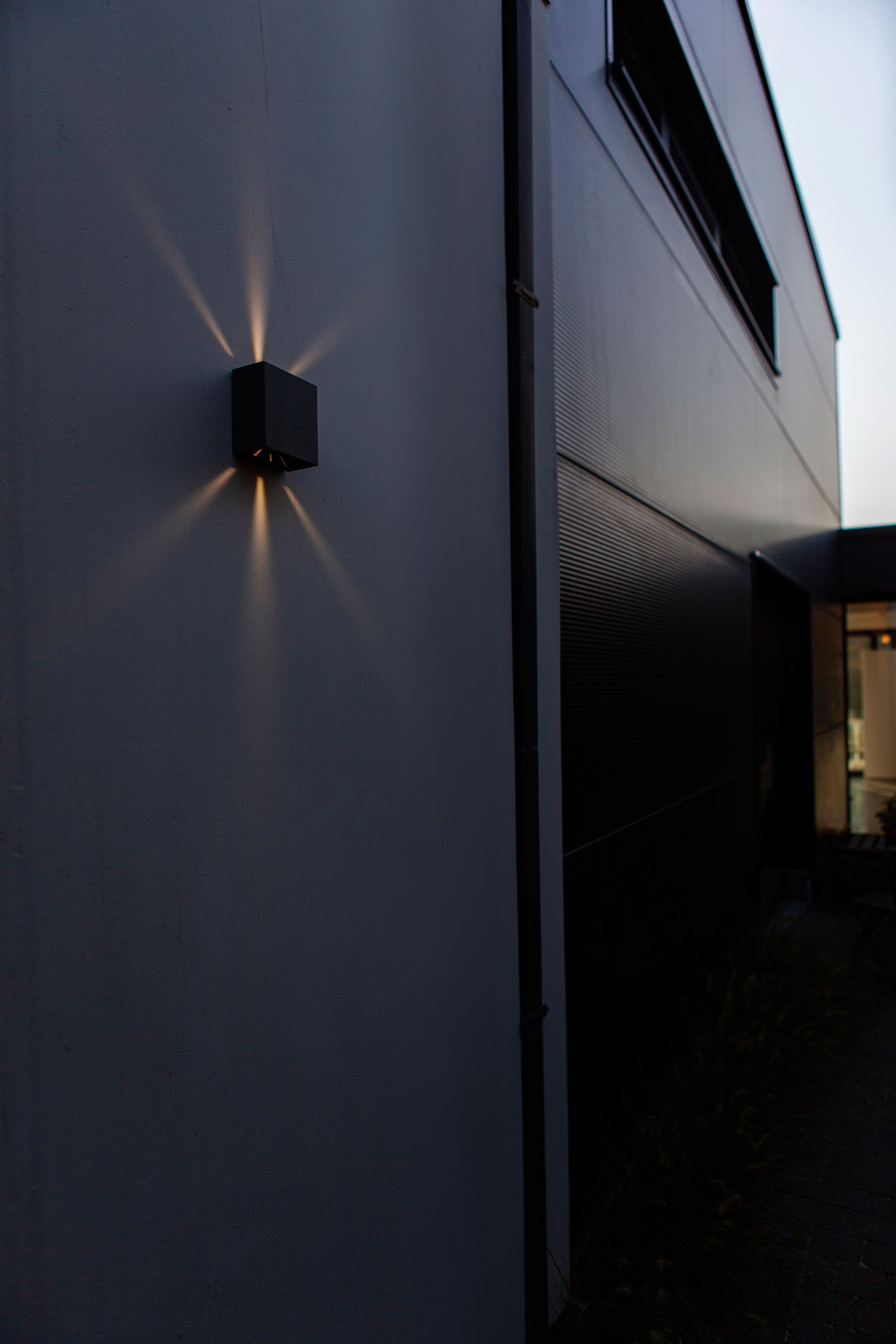 LUTEC Ledwandlamp voor buiten Gemini (1 stuk)