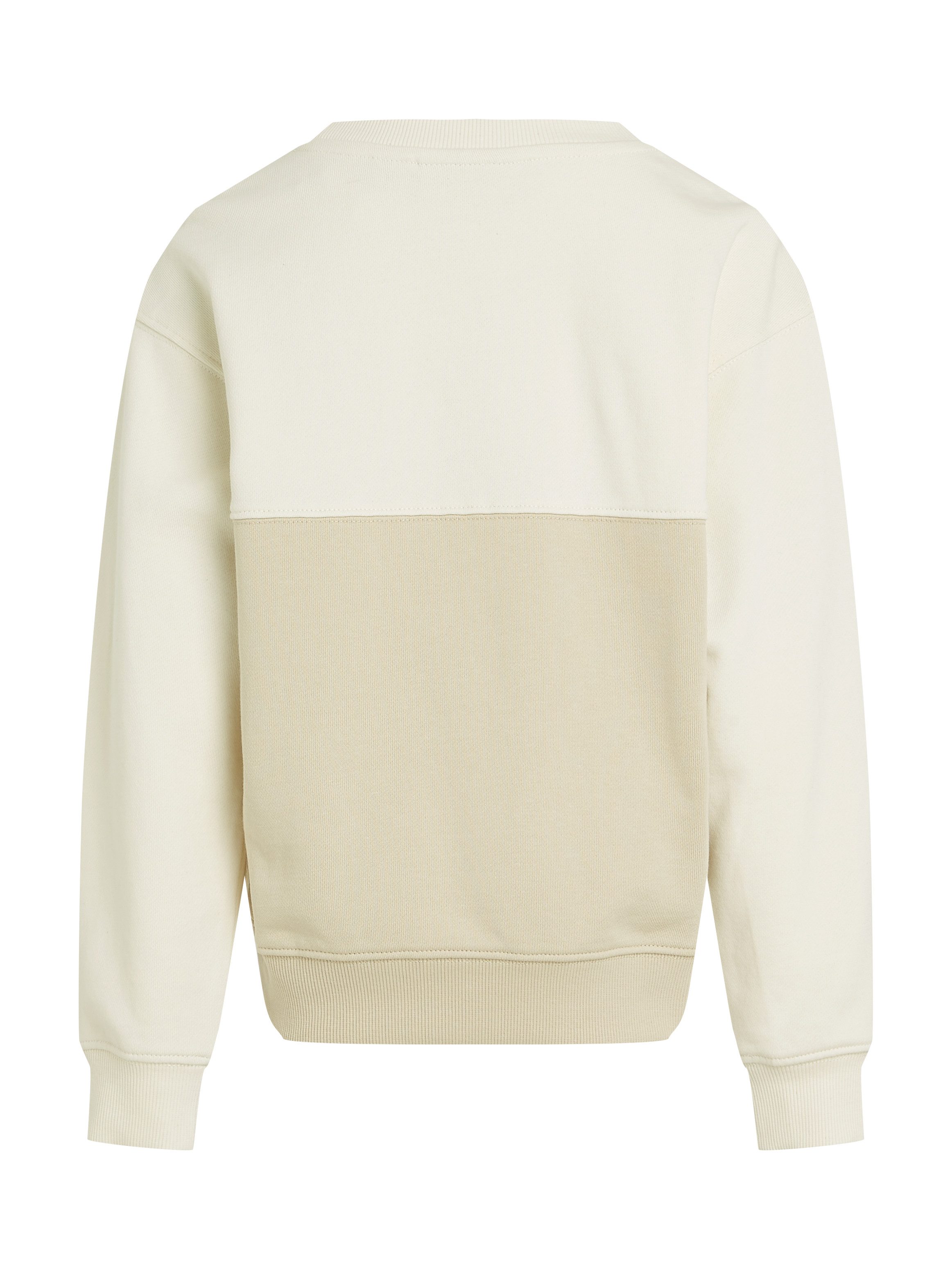 Calvin Klein Sweatshirt COLOR BLOCK TERRY CN in colourblocking-stijl