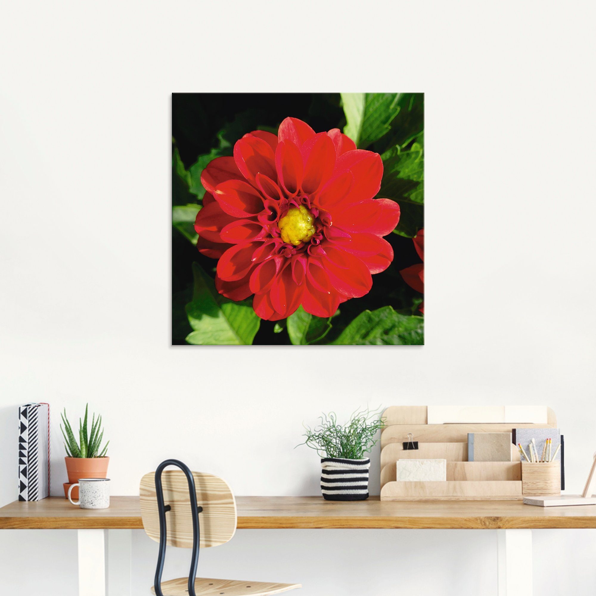 Artland Print op glas Rode dahlia in verschillende maten