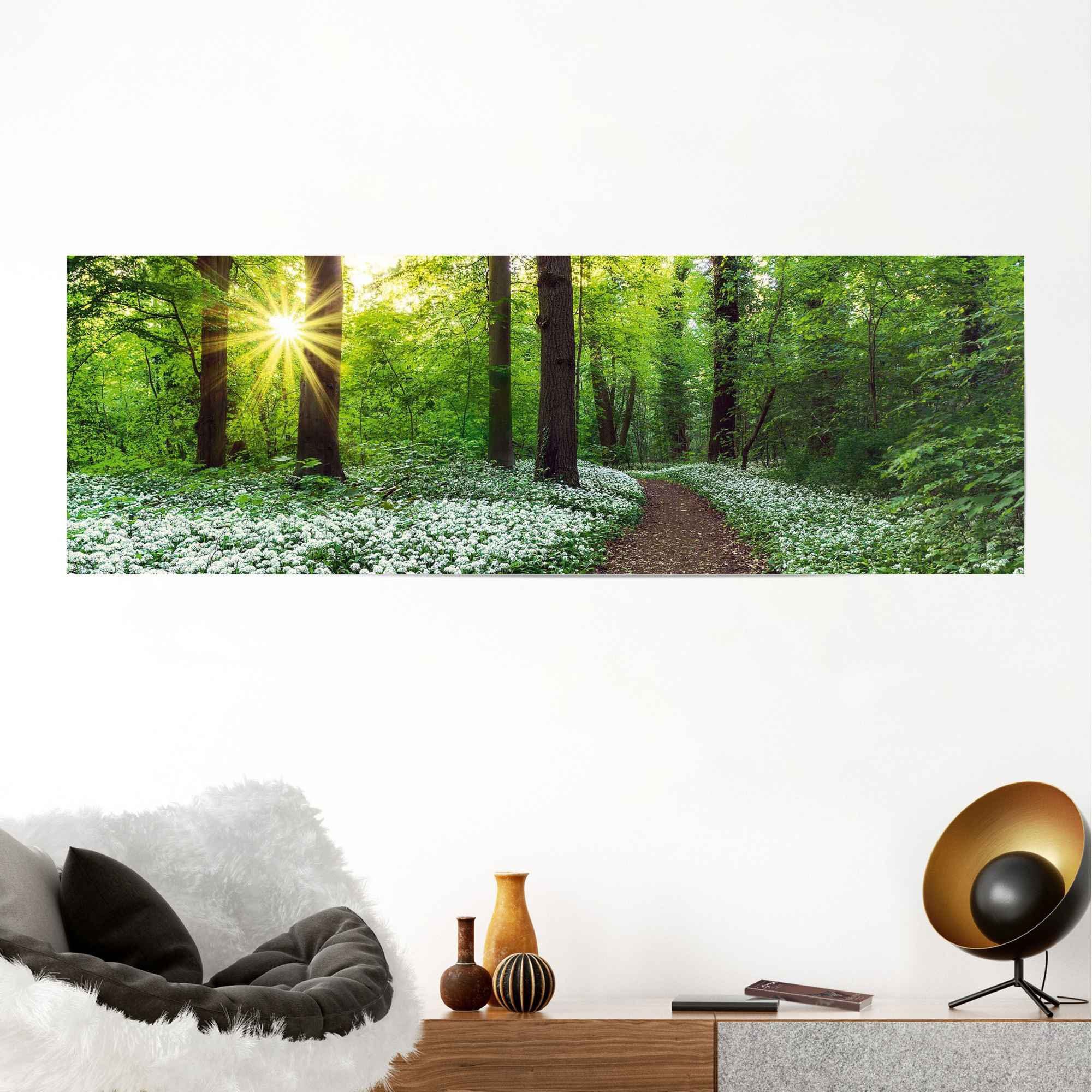 Reinders! Poster Open plek in het bos voorjaar