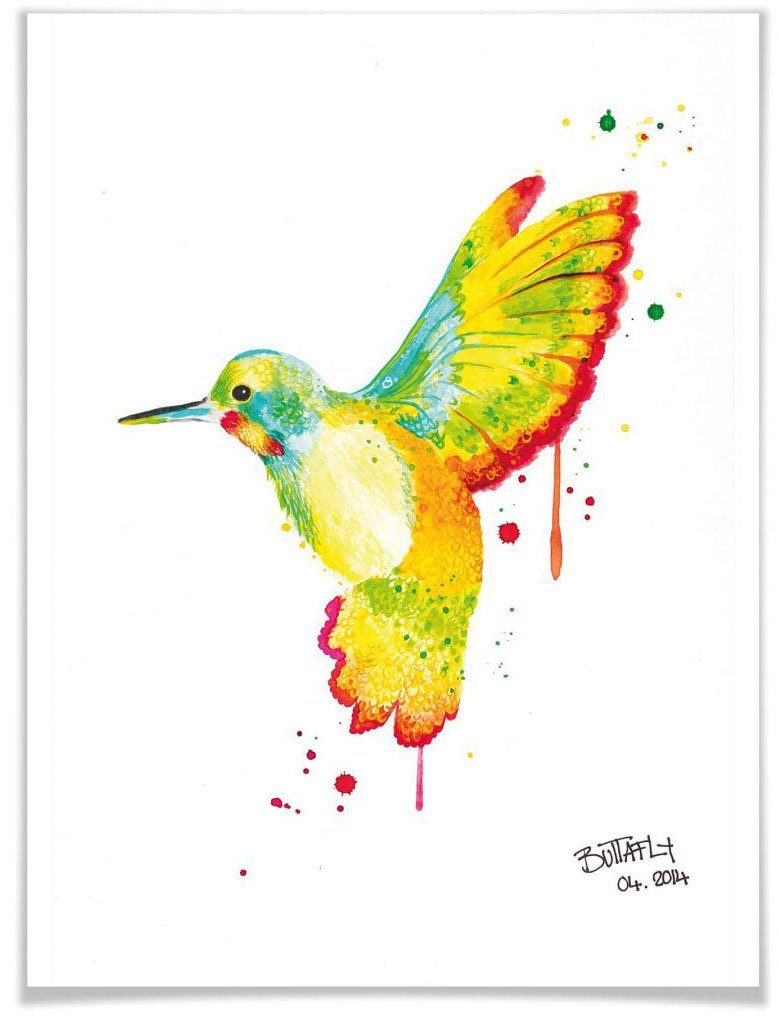 Wall-Art poster Kolibri