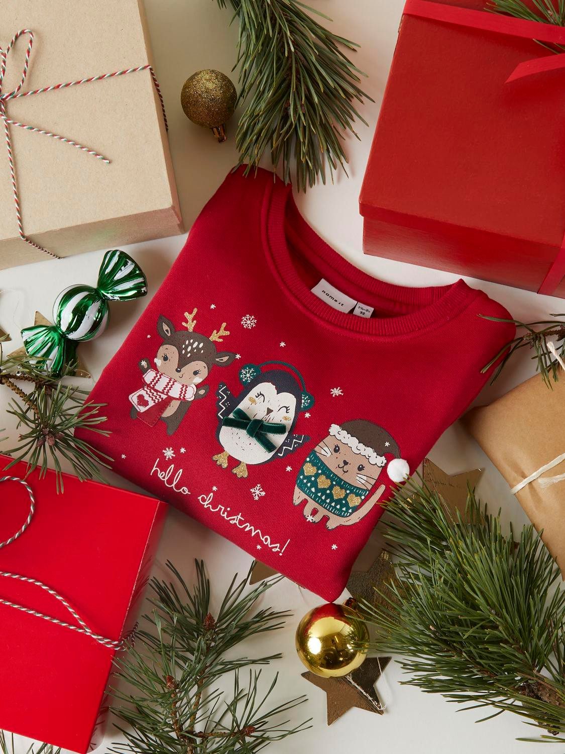 Name It Sweatshirt NMFRTINSEL NREG SWEAT BRU BOX