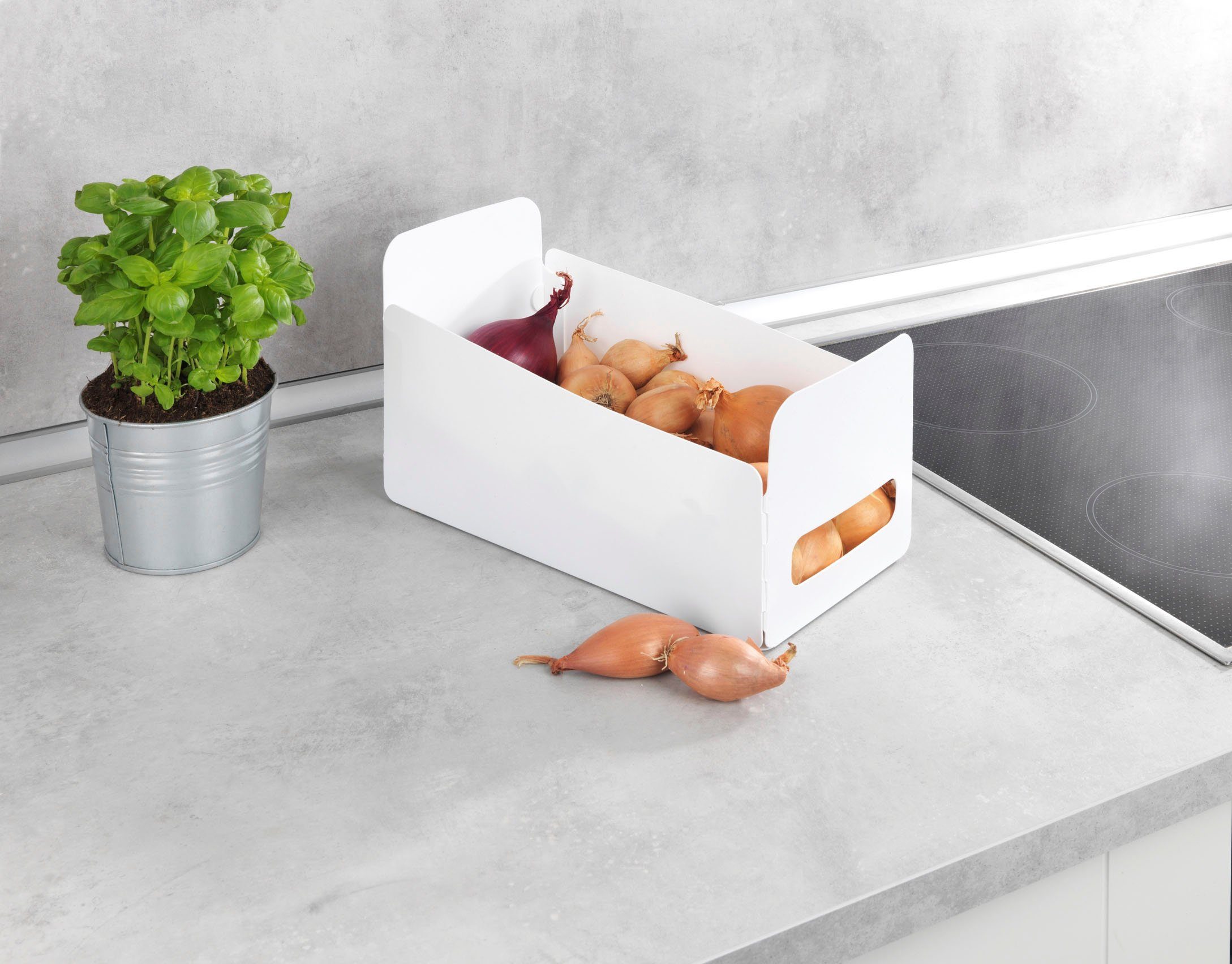 WENKO Organizer Universeel Opbergdozen voor keuken en huishouden, opvouwbaar, kunststof (6 stuks)