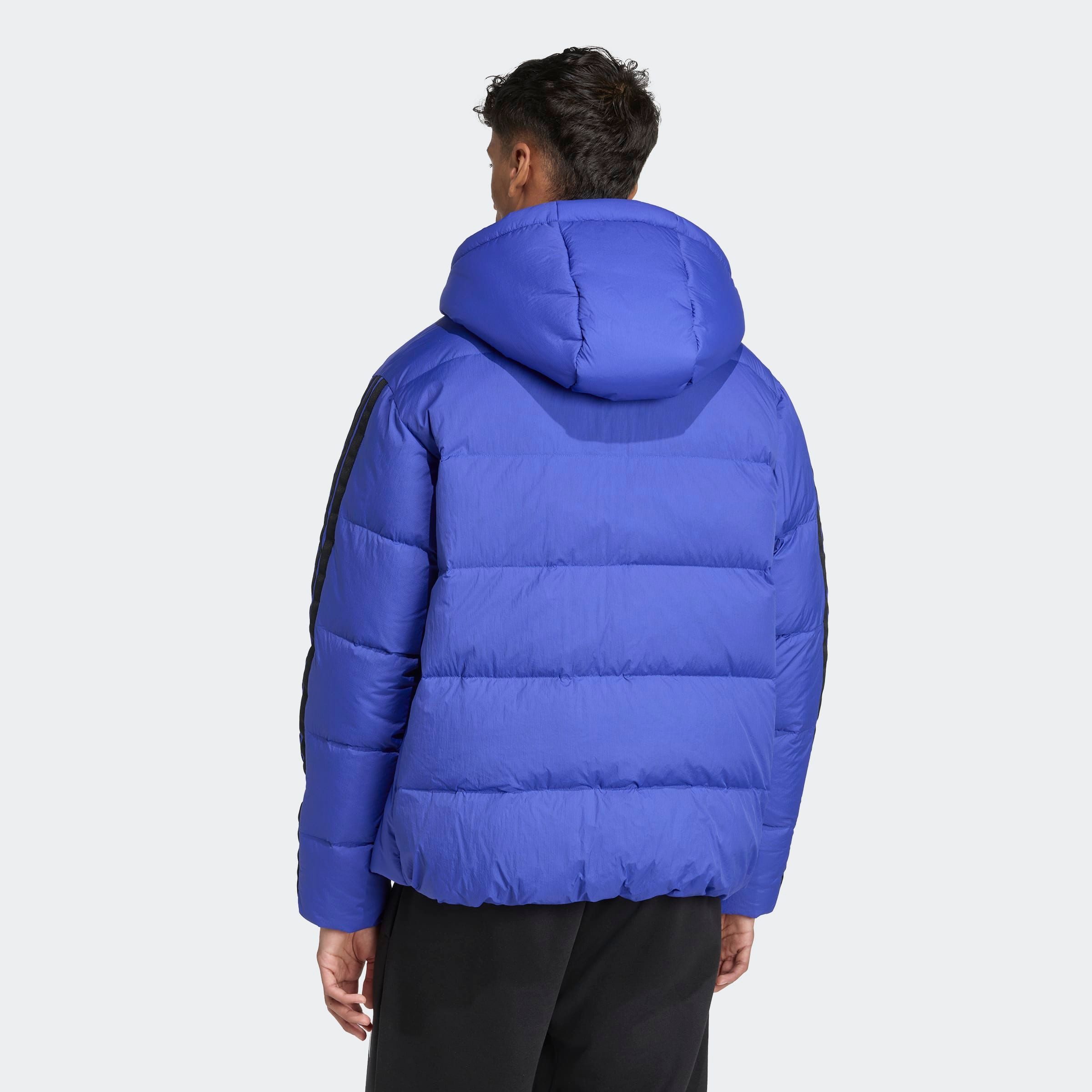 adidas Sportswear Winterjack