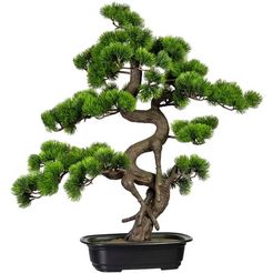 creativ green kunstbonsai bonsai grenen in de schaal groen