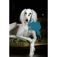 queence artprint op acrylglas hond blauw