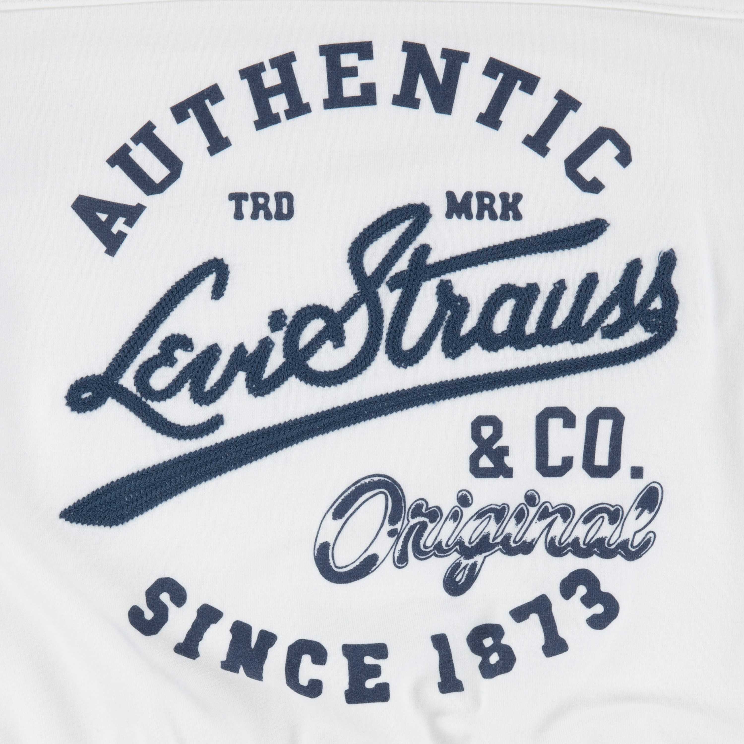 Levi's Kidswear Longsleeve LVG VARSITY LS TEE