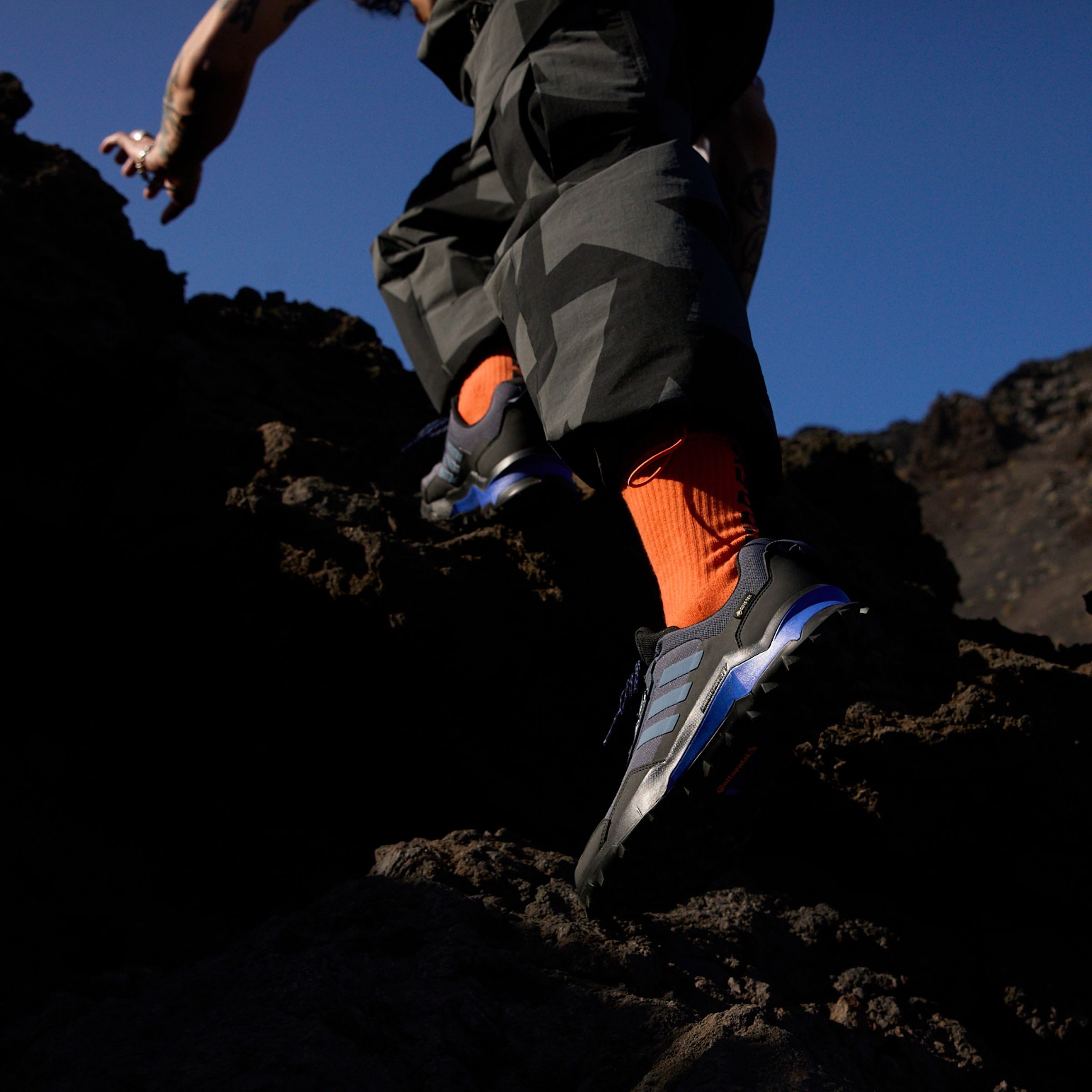 adidas TERREX Wandelschoenen TERREX AX4 GORE-TEX