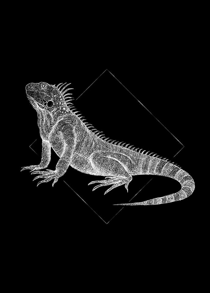 Komar Wanddecoratie Iguana black Wanddecoratie - zonder lijst (1 stuk)