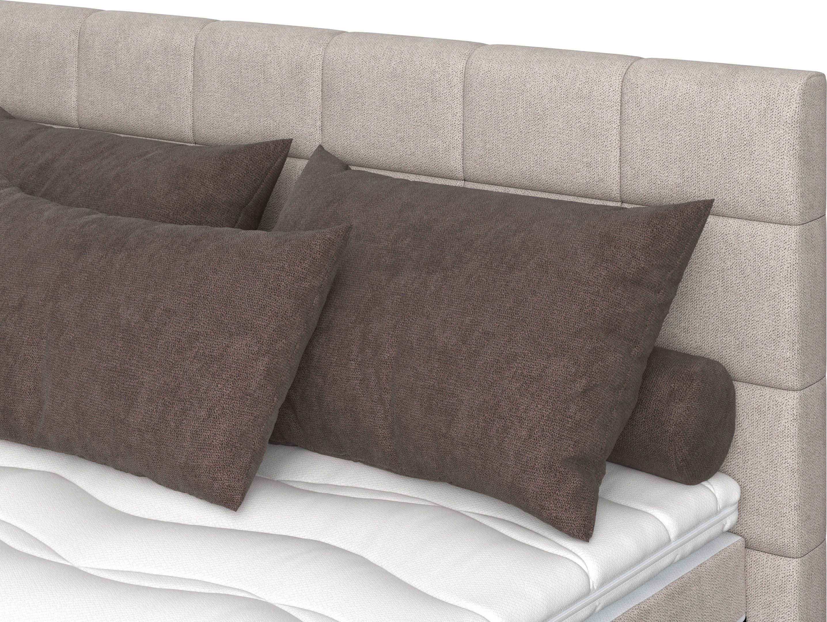 COTTA Boxspring Simba