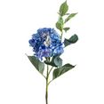 botanic-haus kunstbloem hortensia blauw