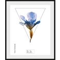 queence wanddecoratie iris (1 stuk) blauw