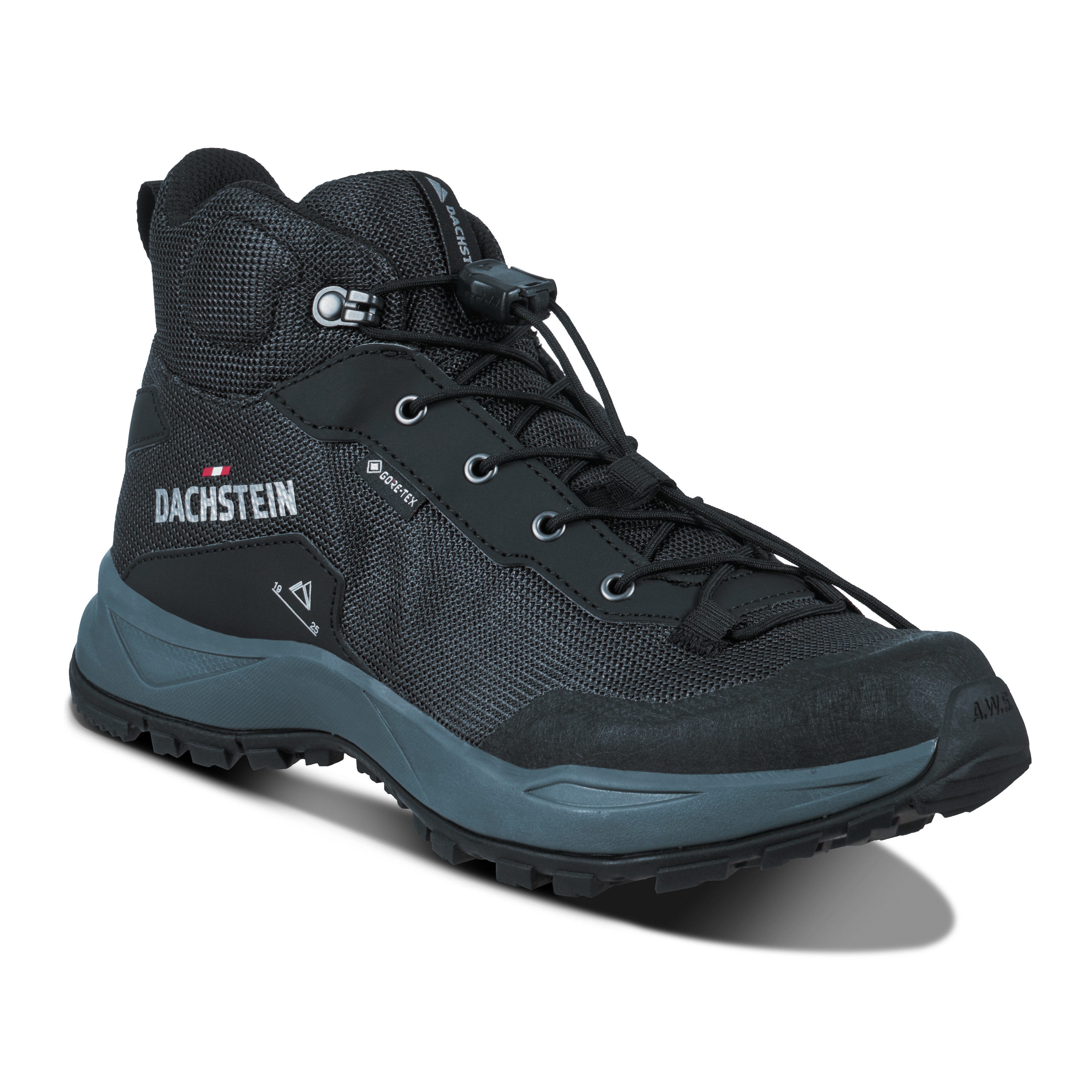 Dachstein Wandelschoenen DELTA ASCENT MC GORE-TEX W