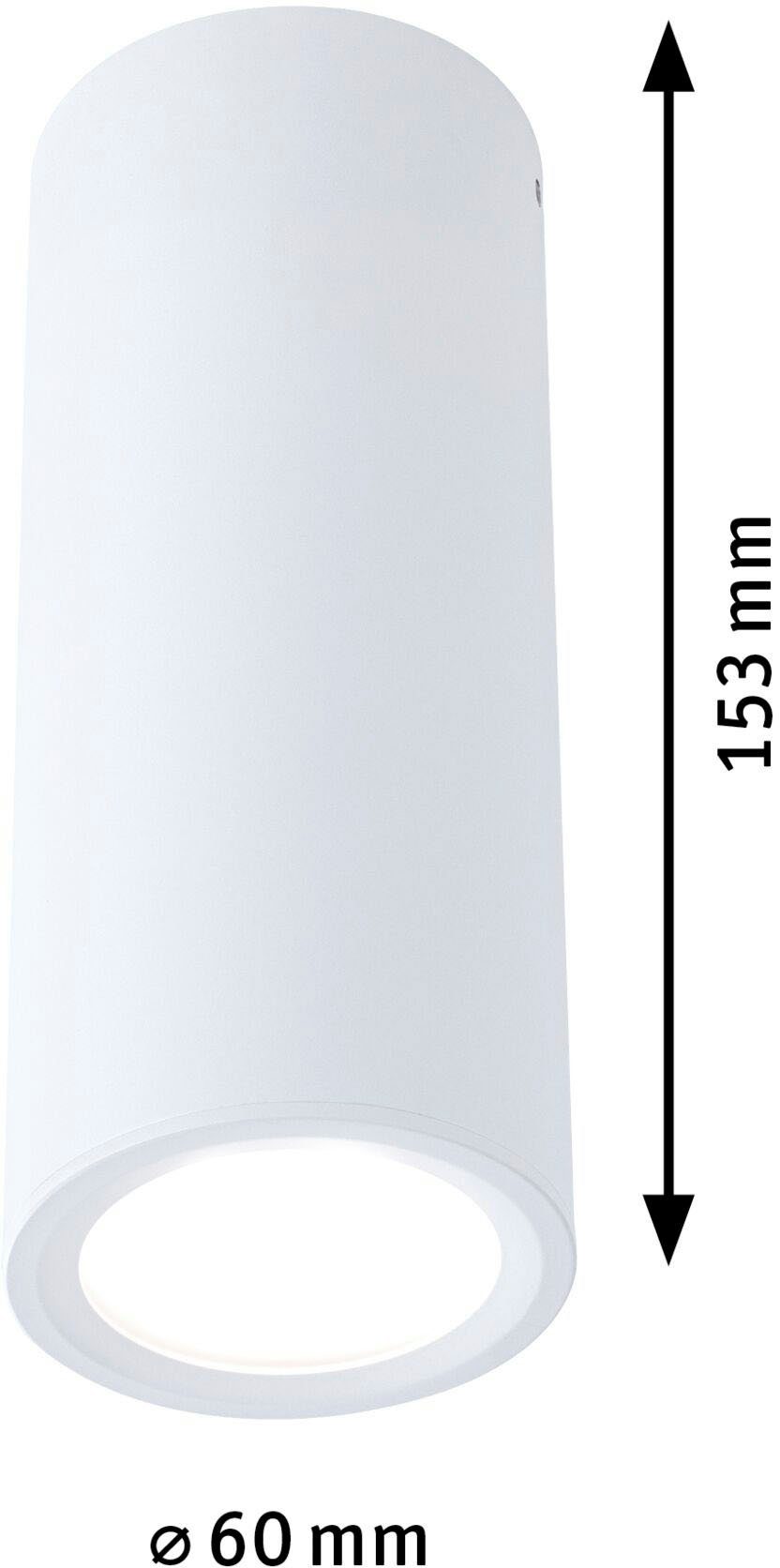Paulmann Opbouwarmatuur Barrel 1x6W 2700K 470lm (1 stuk)