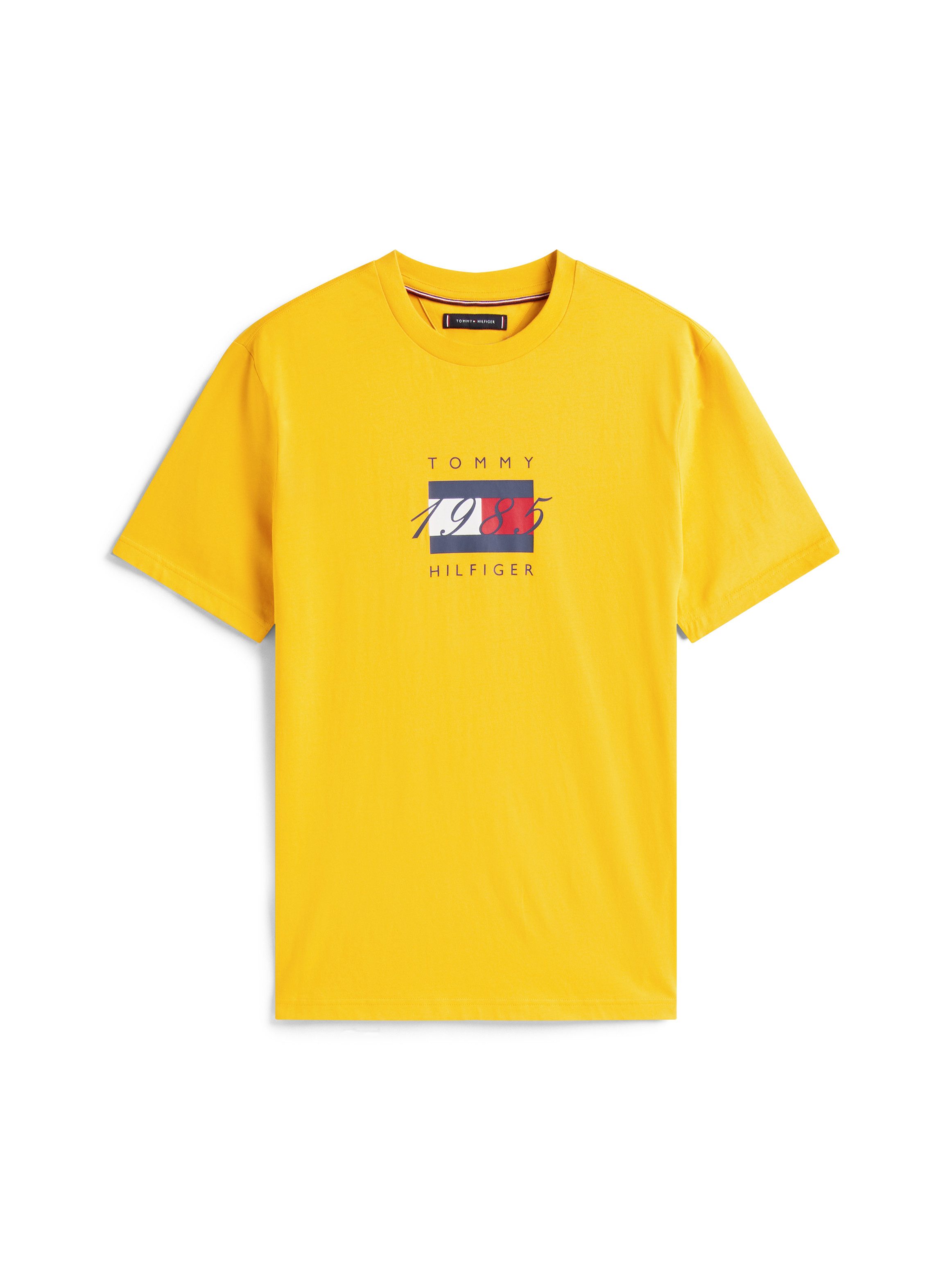 Tommy Hilfiger T-shirt LINEAR FLAG GRAPHIC