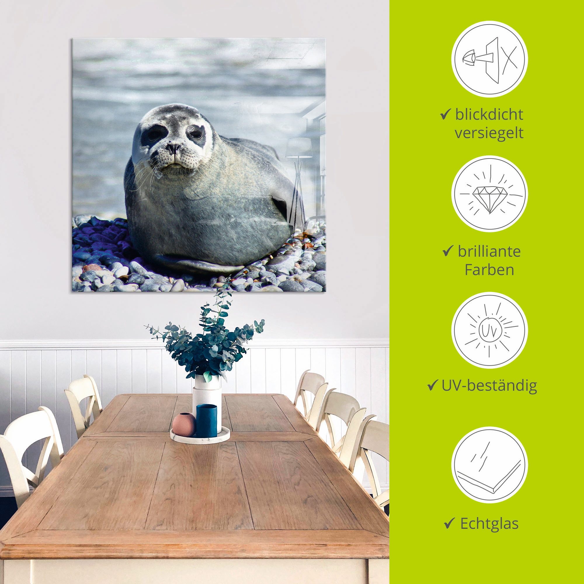 Artland Print op glas Rob op het strand van Helgoland