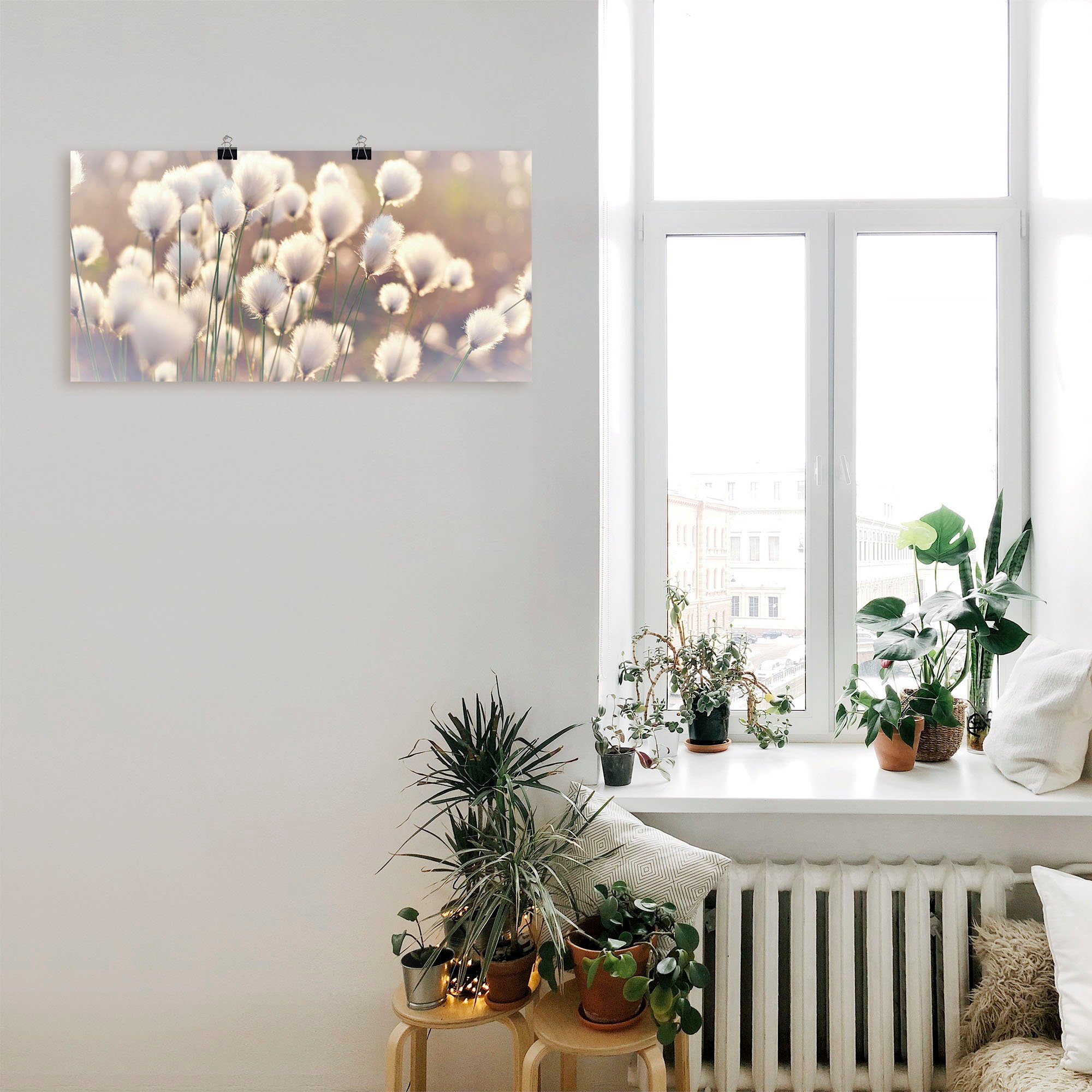 Artland Artprint Wolgrasmagie in het veen als artprint van aluminium, artprint voor buiten, artprint op linnen, poster, muursticker