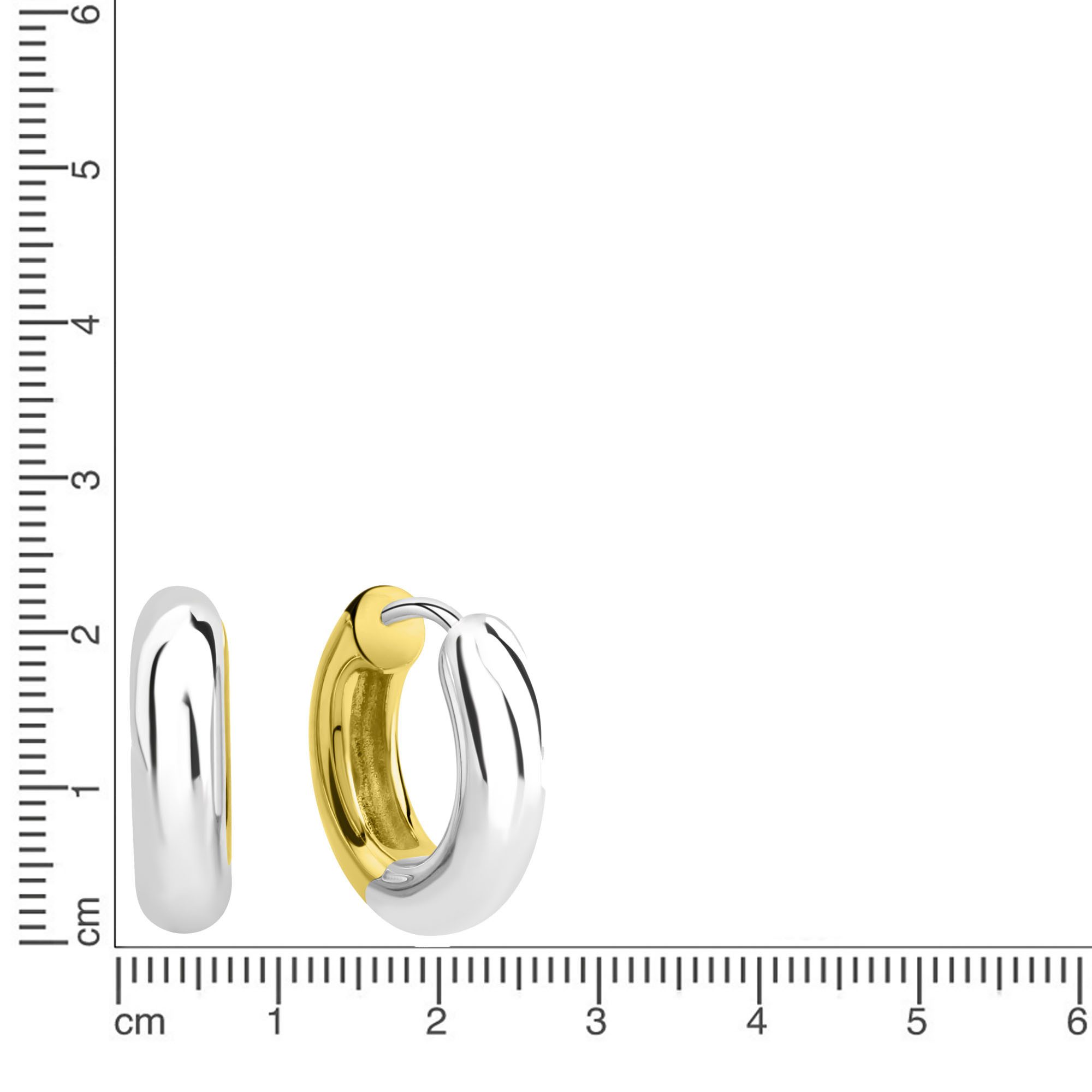 Firetti Paar creolen Sieraad cadeau zilver 925 oorbellen bicolor