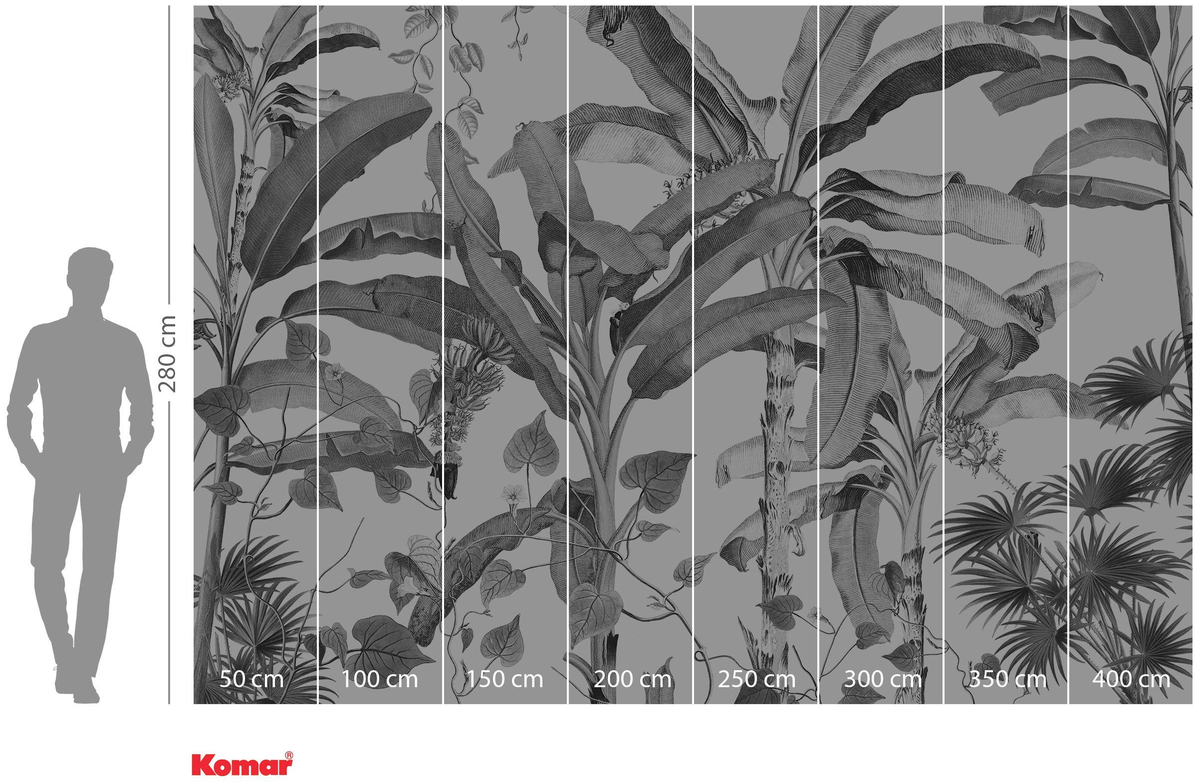 Komar Vliesbehang Digitale print vlies - Croissances Monochrome - Afmeting 400 x 280 cm