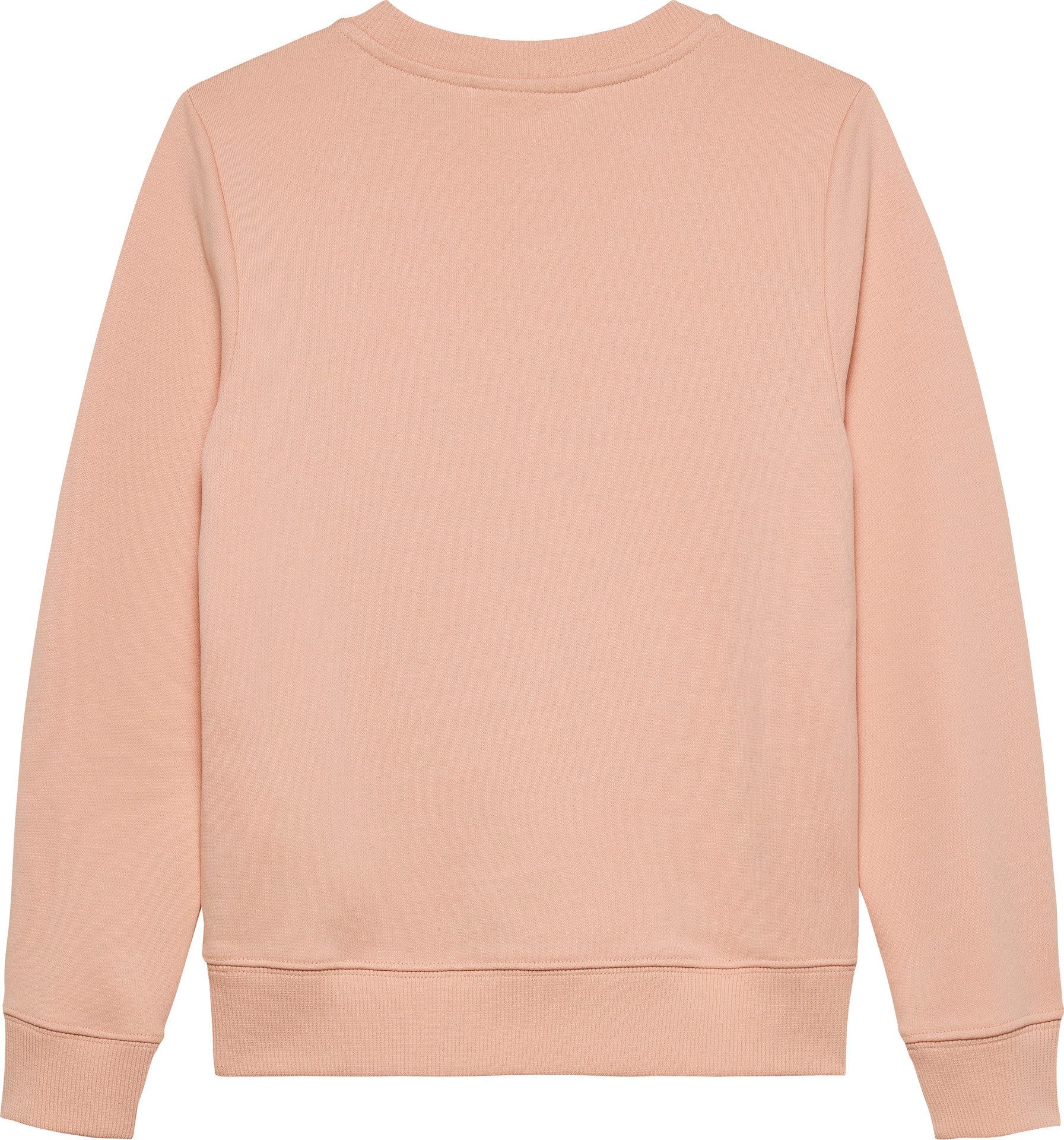 Calvin Klein Sweatshirt CK MONOGRAM TERRY CN voor kinderen tot 16 jaar en met logoprint