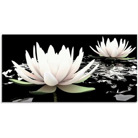 Artland print op glas Zwei Lotusblumen auf dem Wasser