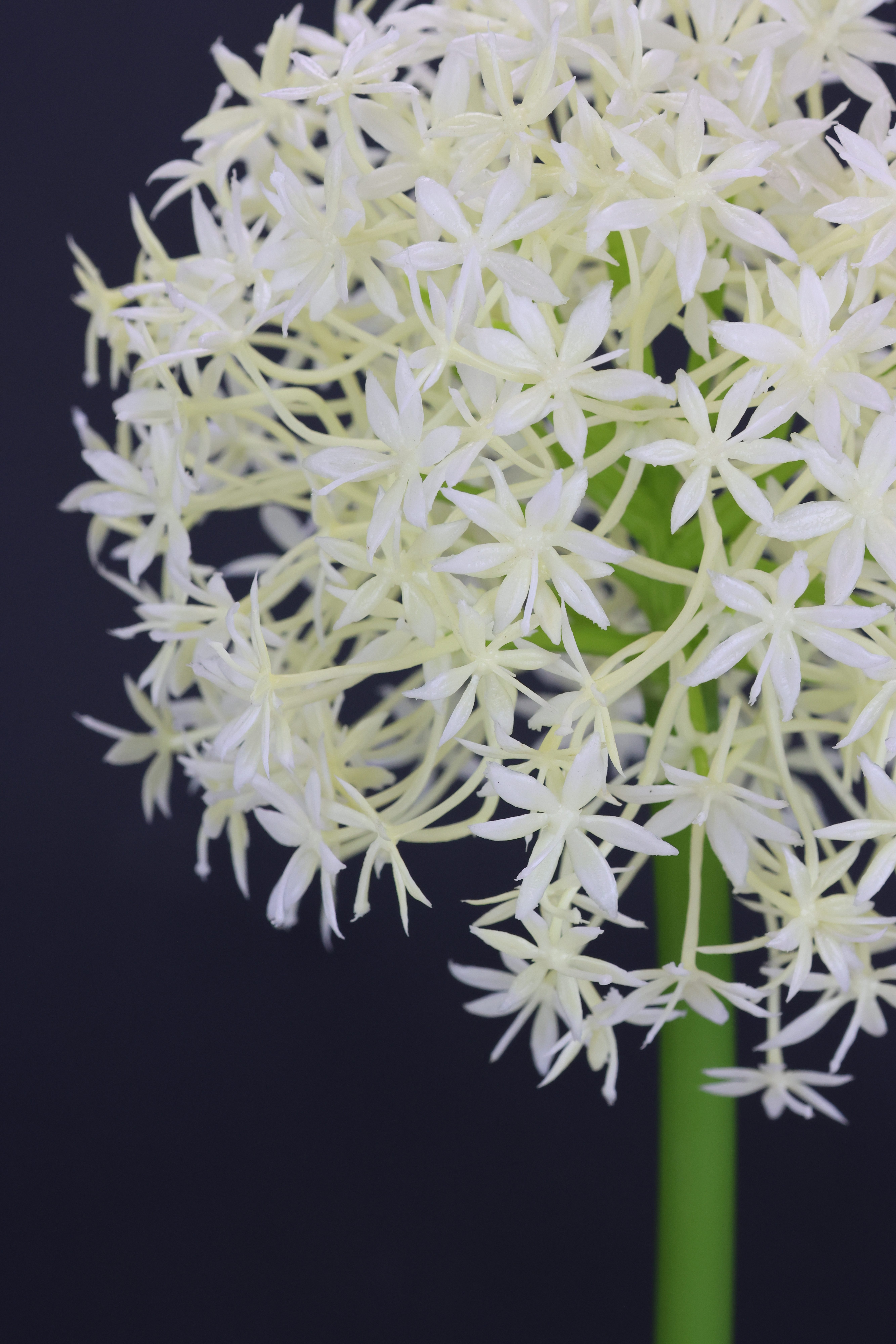 I.GE.A. Kunstbloem Allium sierlook Stelenbloem kunstbloemen(2 stuks)