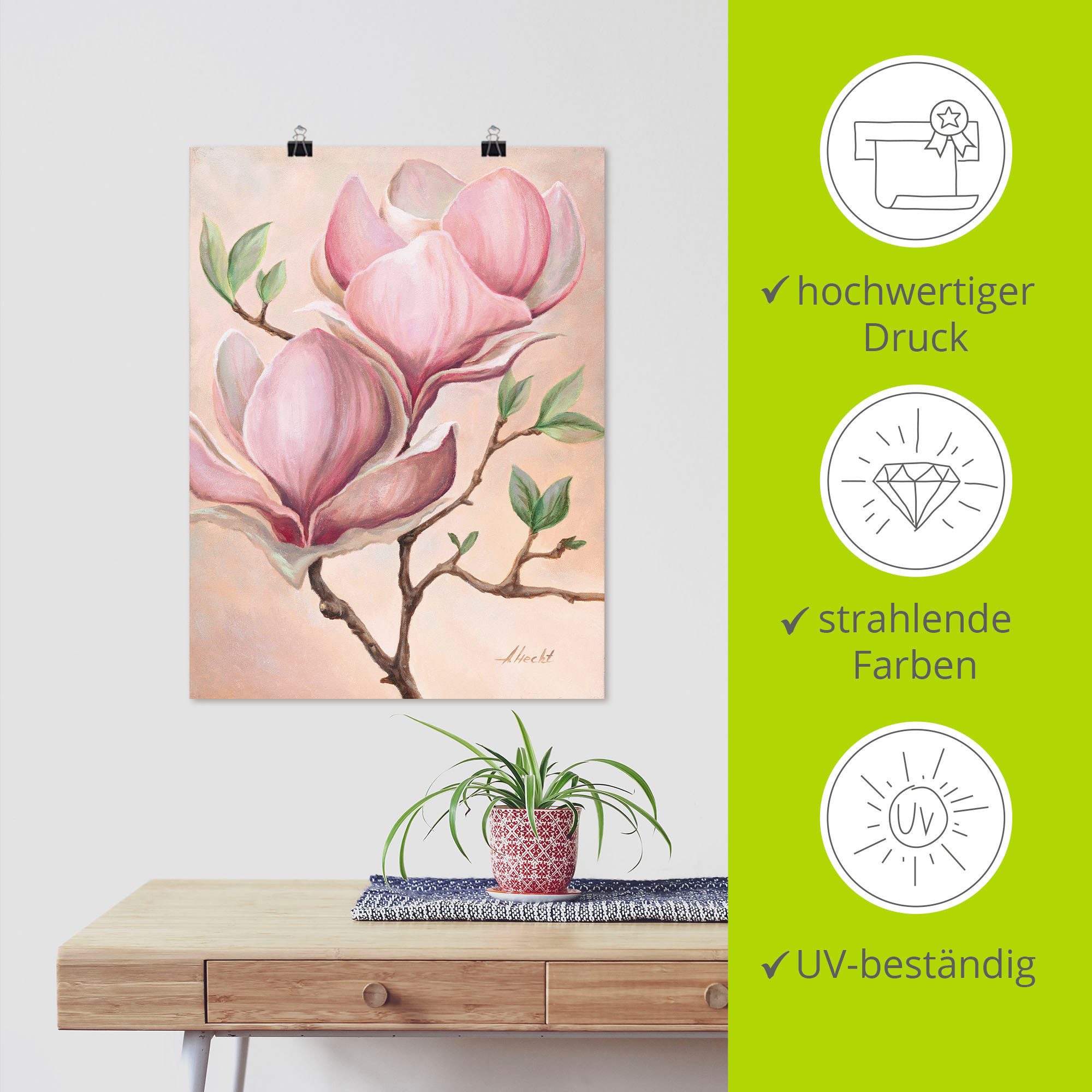 Artland Artprint Magnoliabloemen als artprint op linnen, poster in verschillende formaten maten