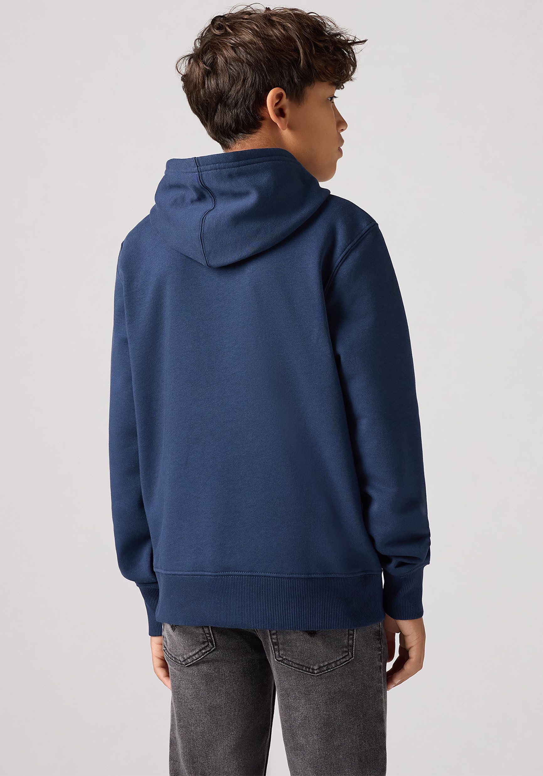 Levi's Kidswear Hoodie LVB MINI BATWING PULL OVER HOO