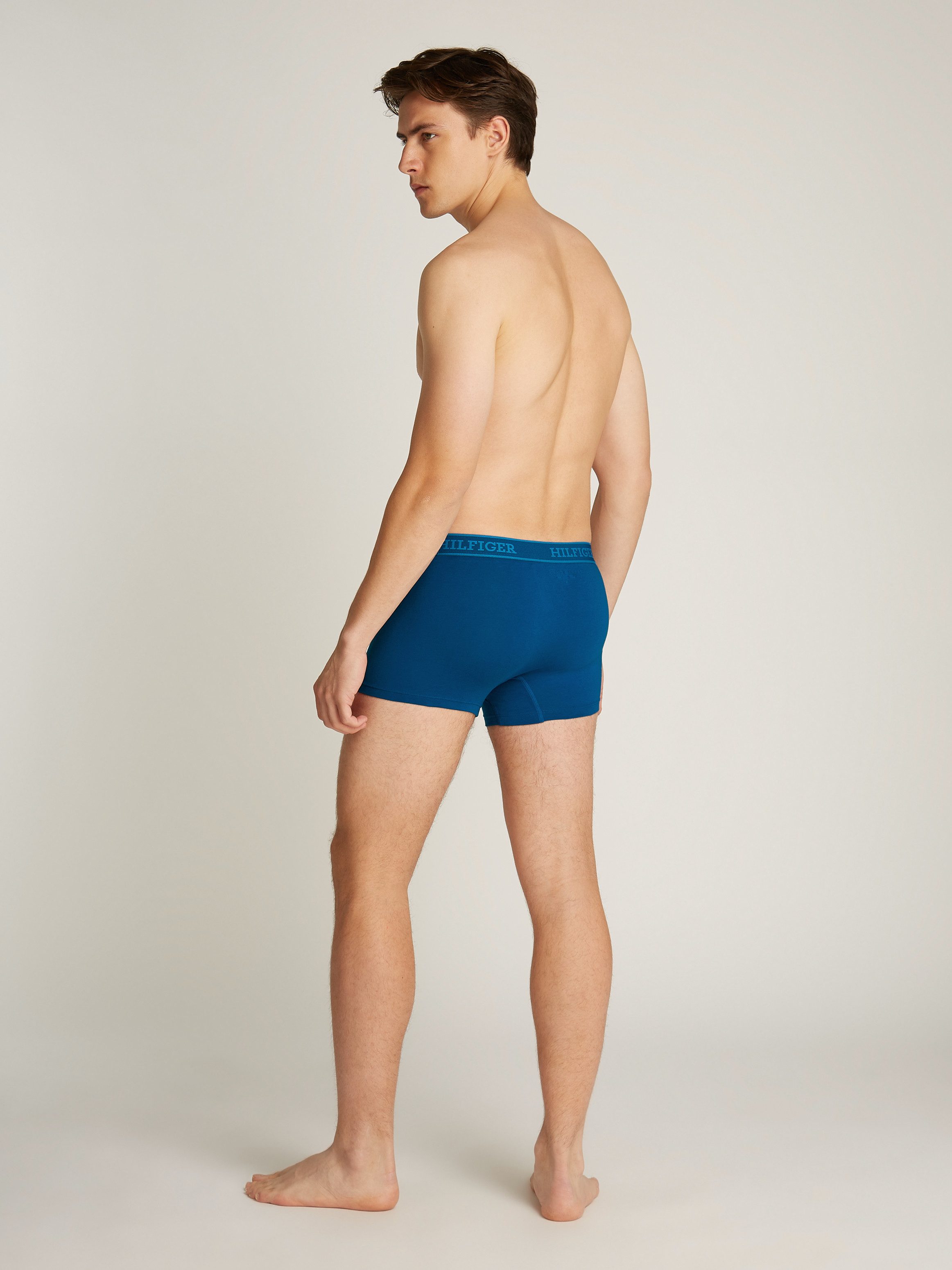 Tommy Hilfiger Underwear Trunk 3P TRUNK (Set van 3)