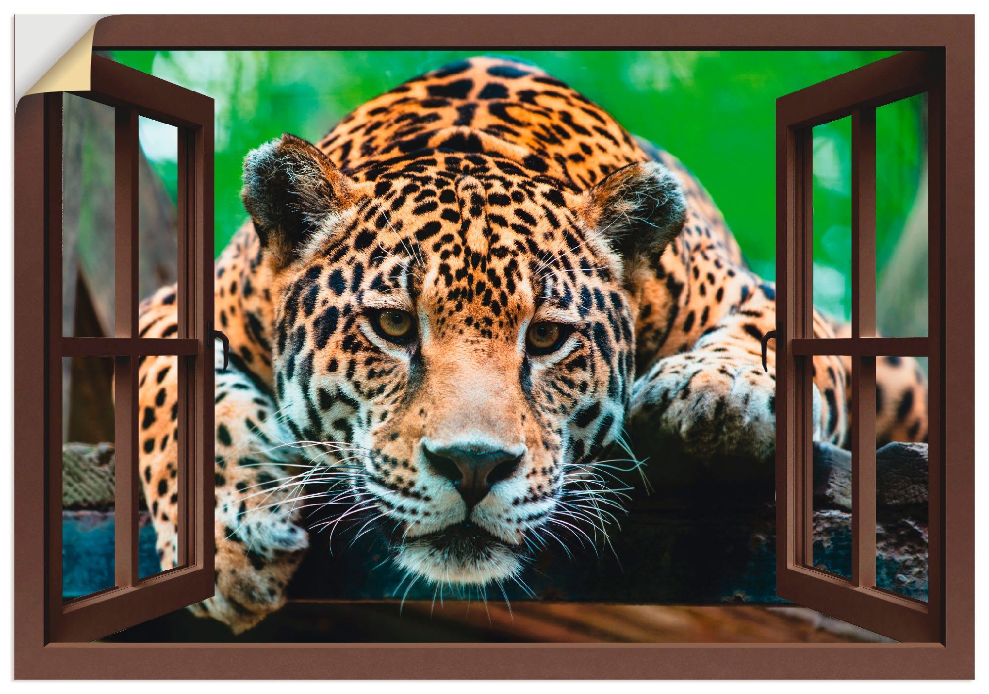 Artland Artprint Blik uit het venster - Zuid-Amerikaanse jaguar in vele afmetingen & productsoorten - artprint van aluminium / artprint voor buiten, artprint op linnen, poster, muu