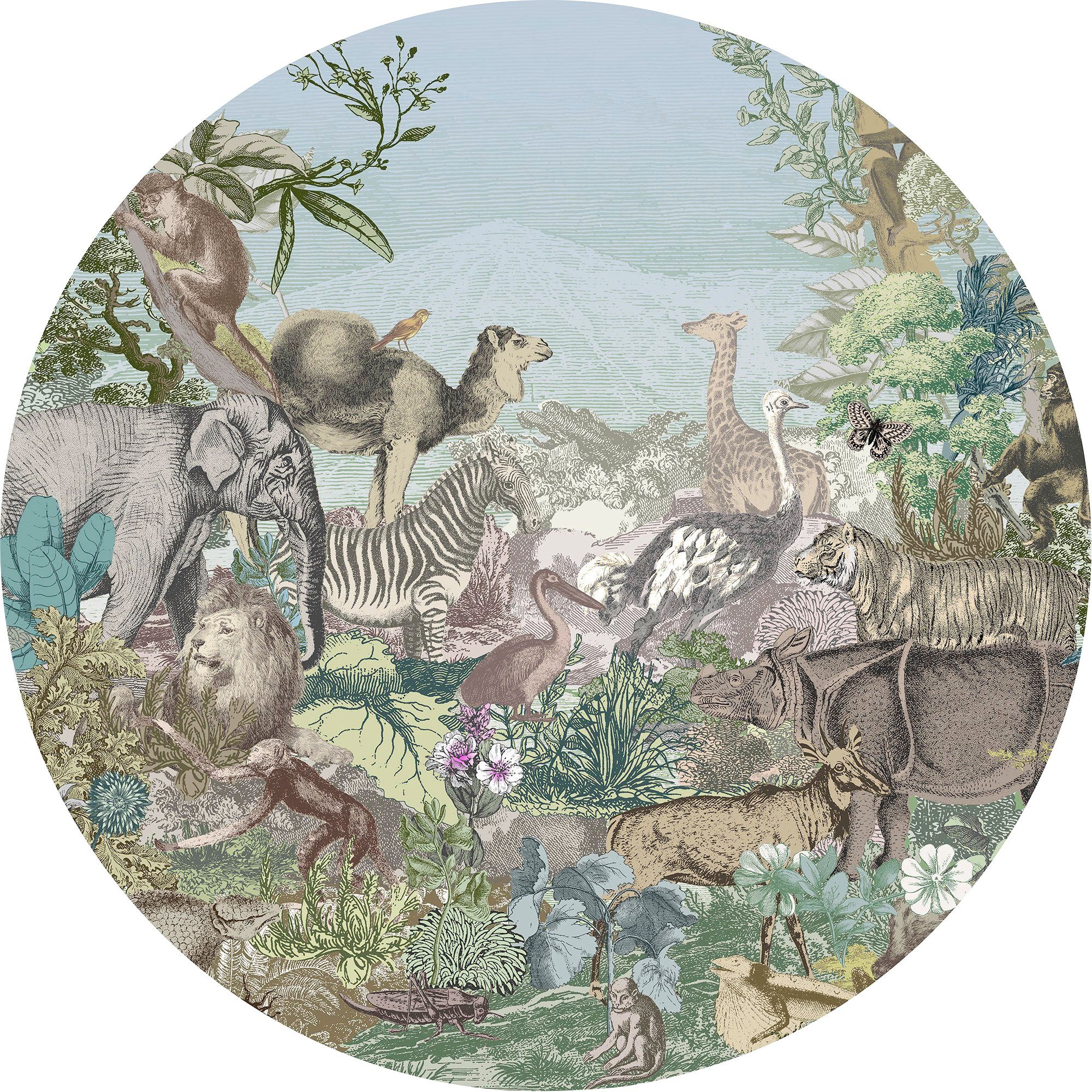 komar fotobehang animal kingdom 125 x 125 cm (breedte x hoogte), rond en zelfklevend (1 stuk) multicolor