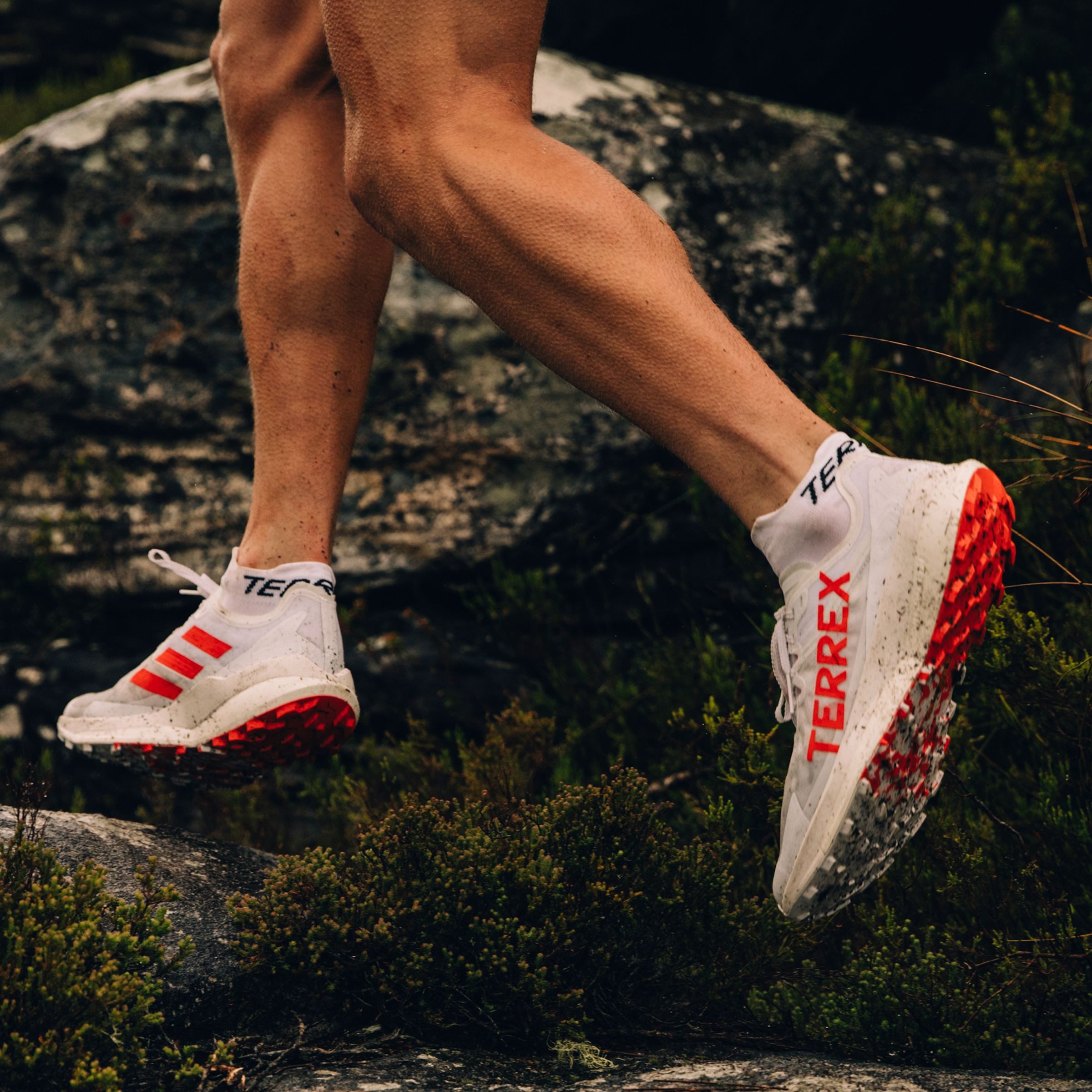 adidas TERREX Trailrunningschoenen TERREX AGRAVIC SPEED TRAILRUNNING
