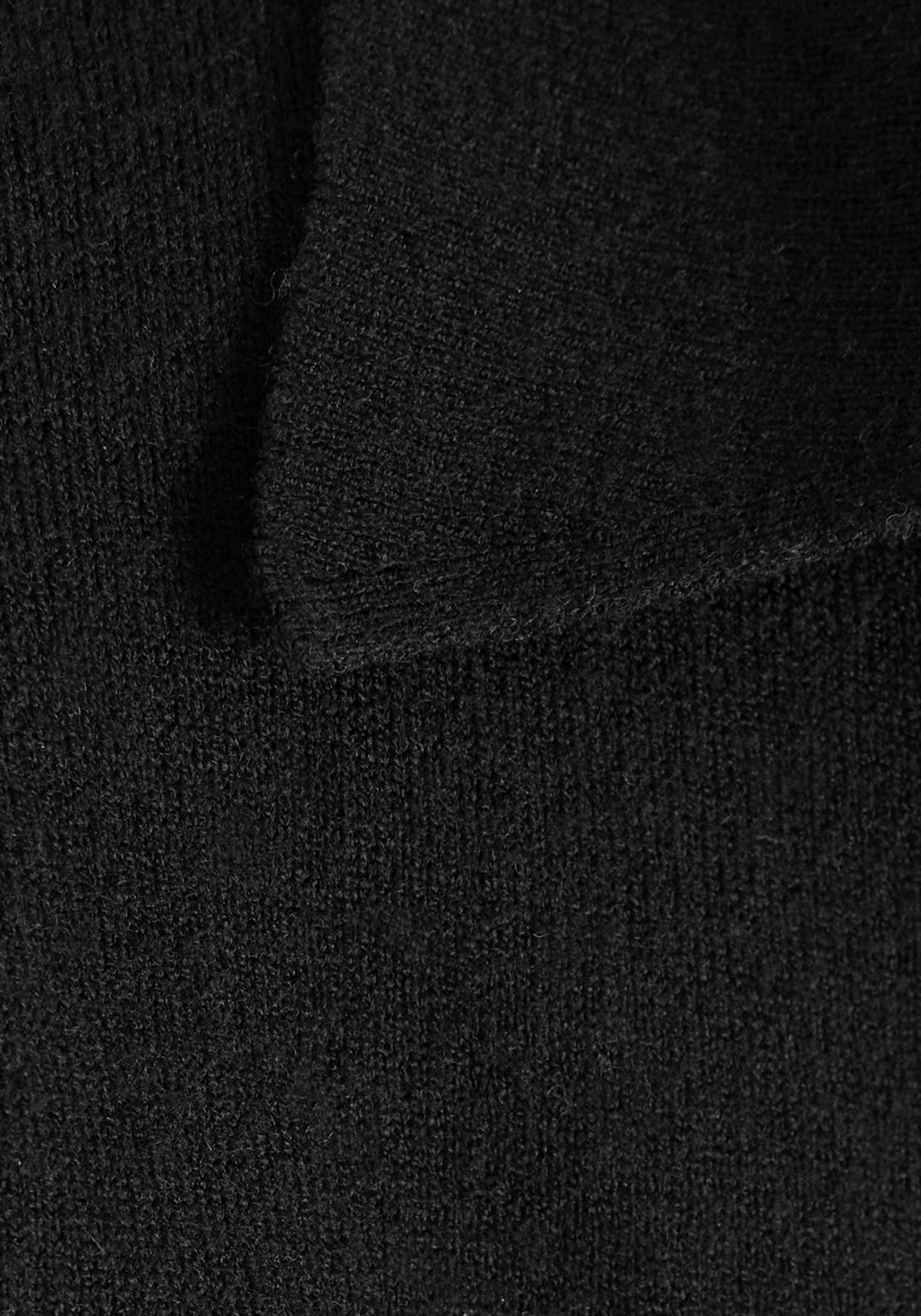 HECHTER PARIS Trui met polokraag met elegante v-hals