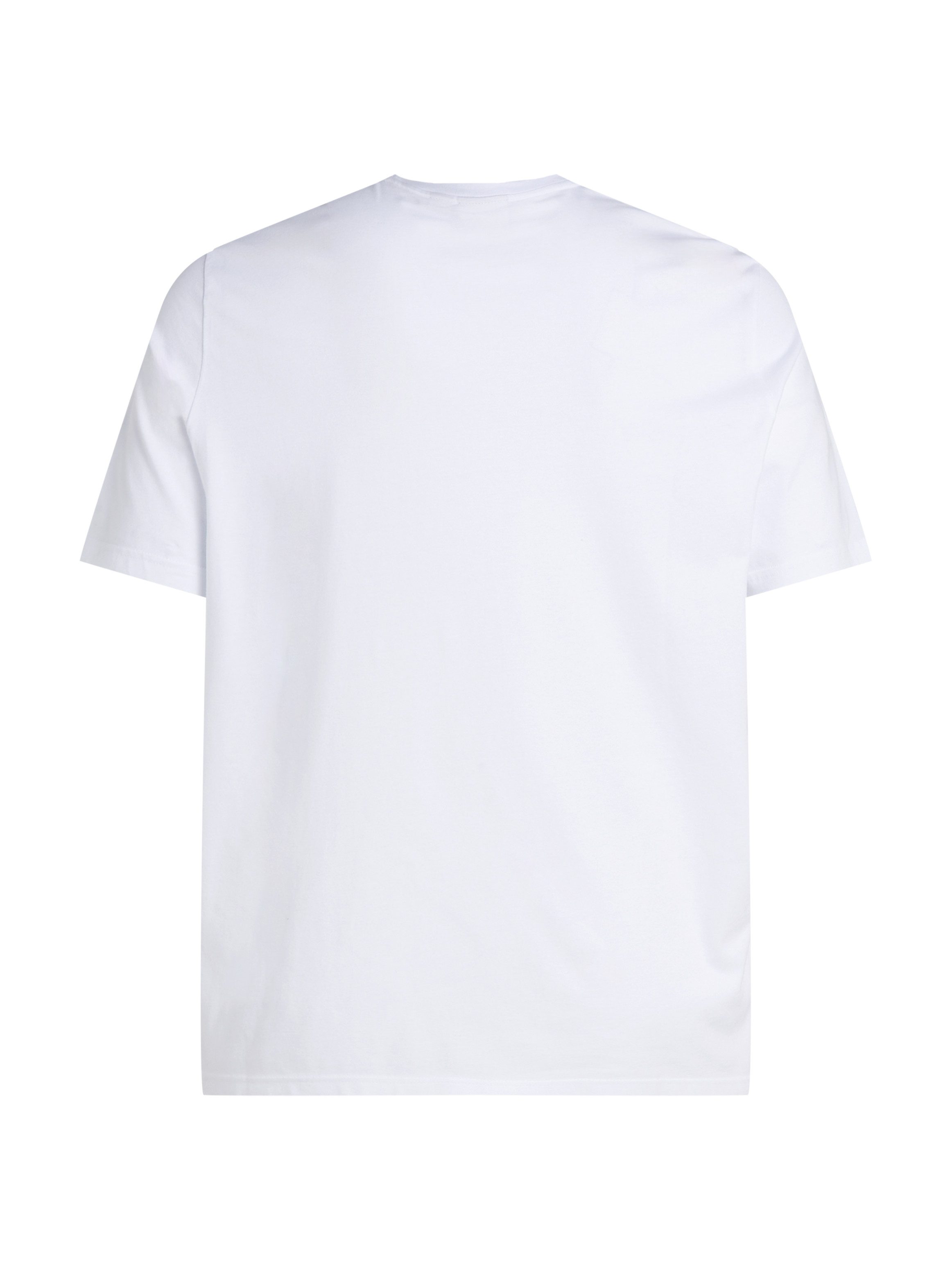 Calvin Klein T-shirt BT-BOX STRIPED LOGO T-SHIRT in grote maten met logo-opschrift